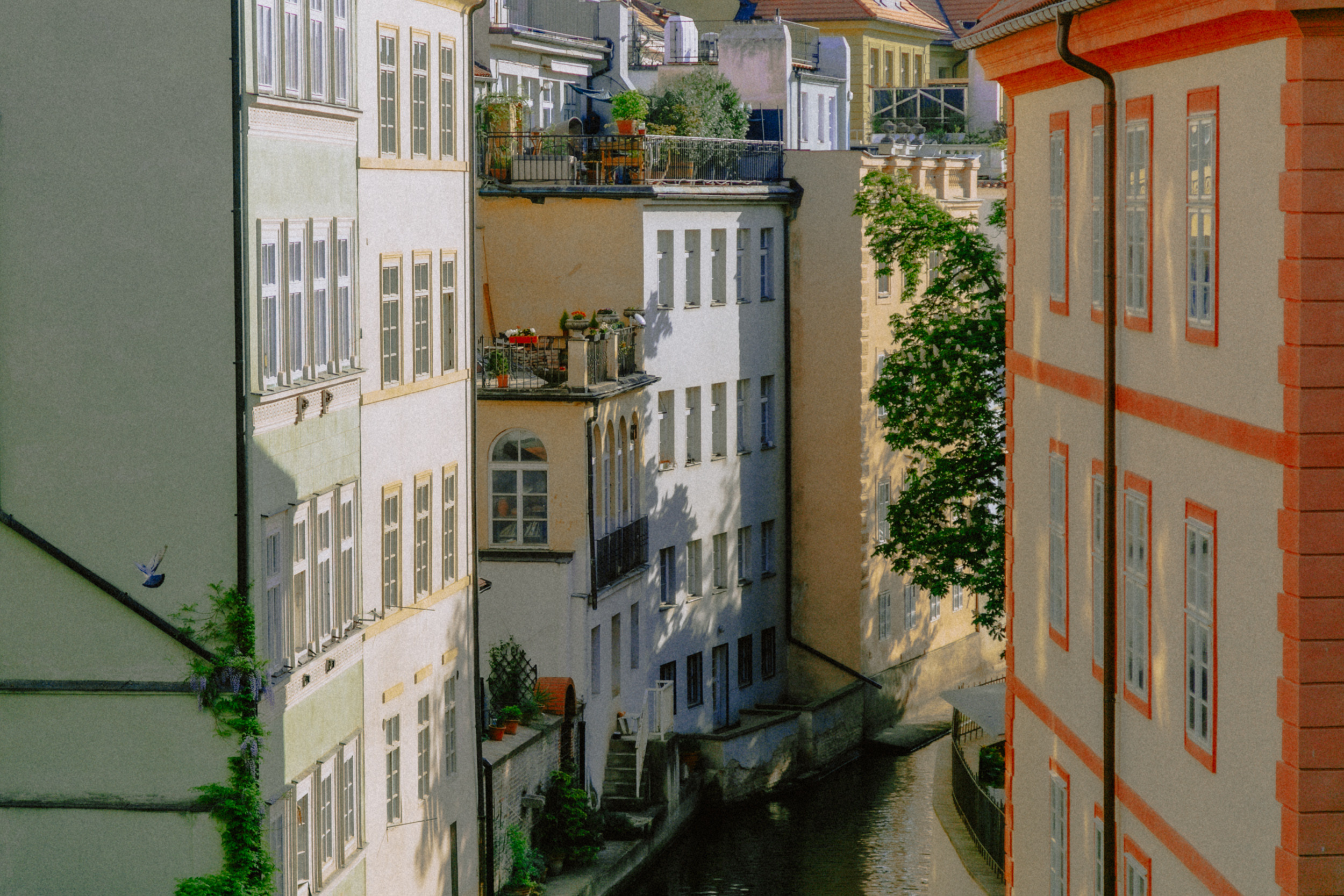 Путешествия. Фотограф в Москве и Санкт-Петербурге Саша Кар