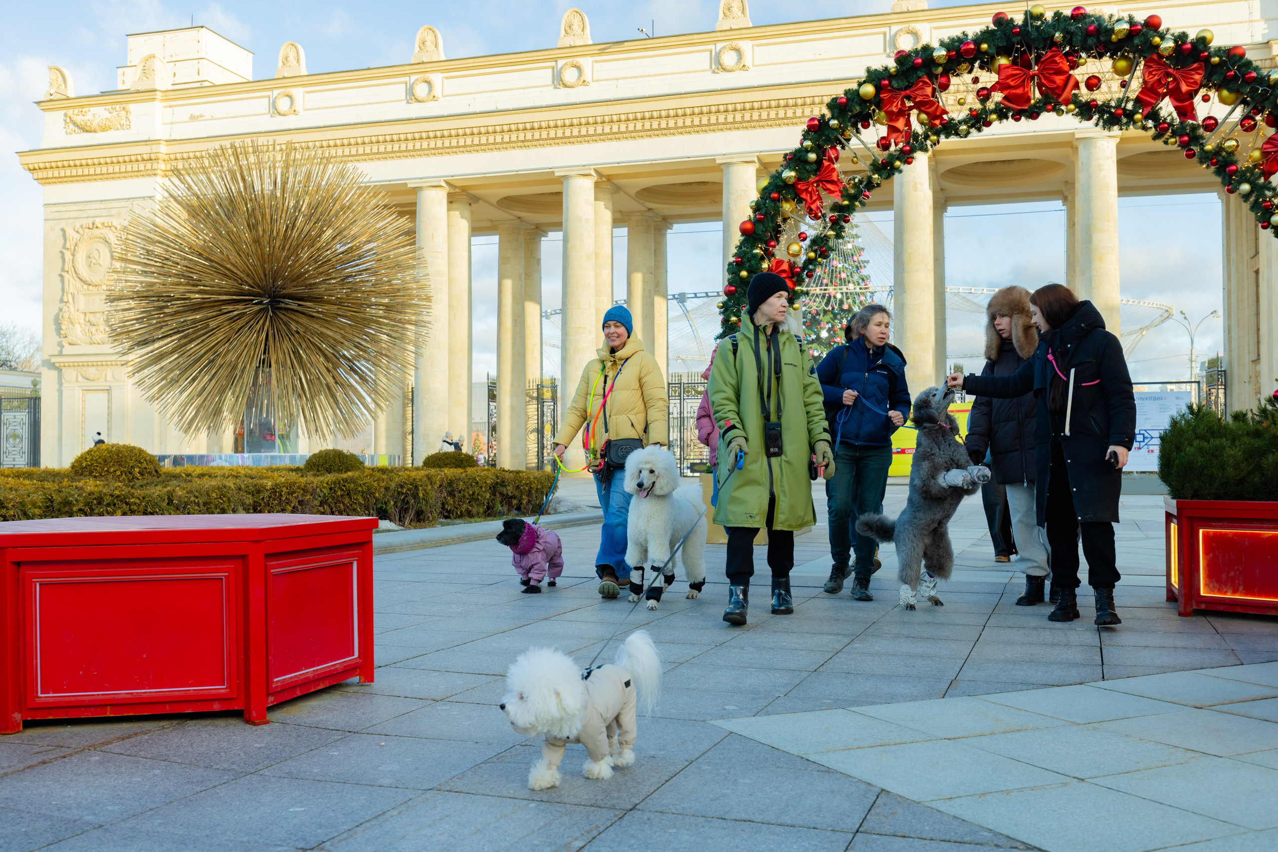 Клуб грумеров (прогулка и семинары). Виктория Зудина — фотограф в Москве