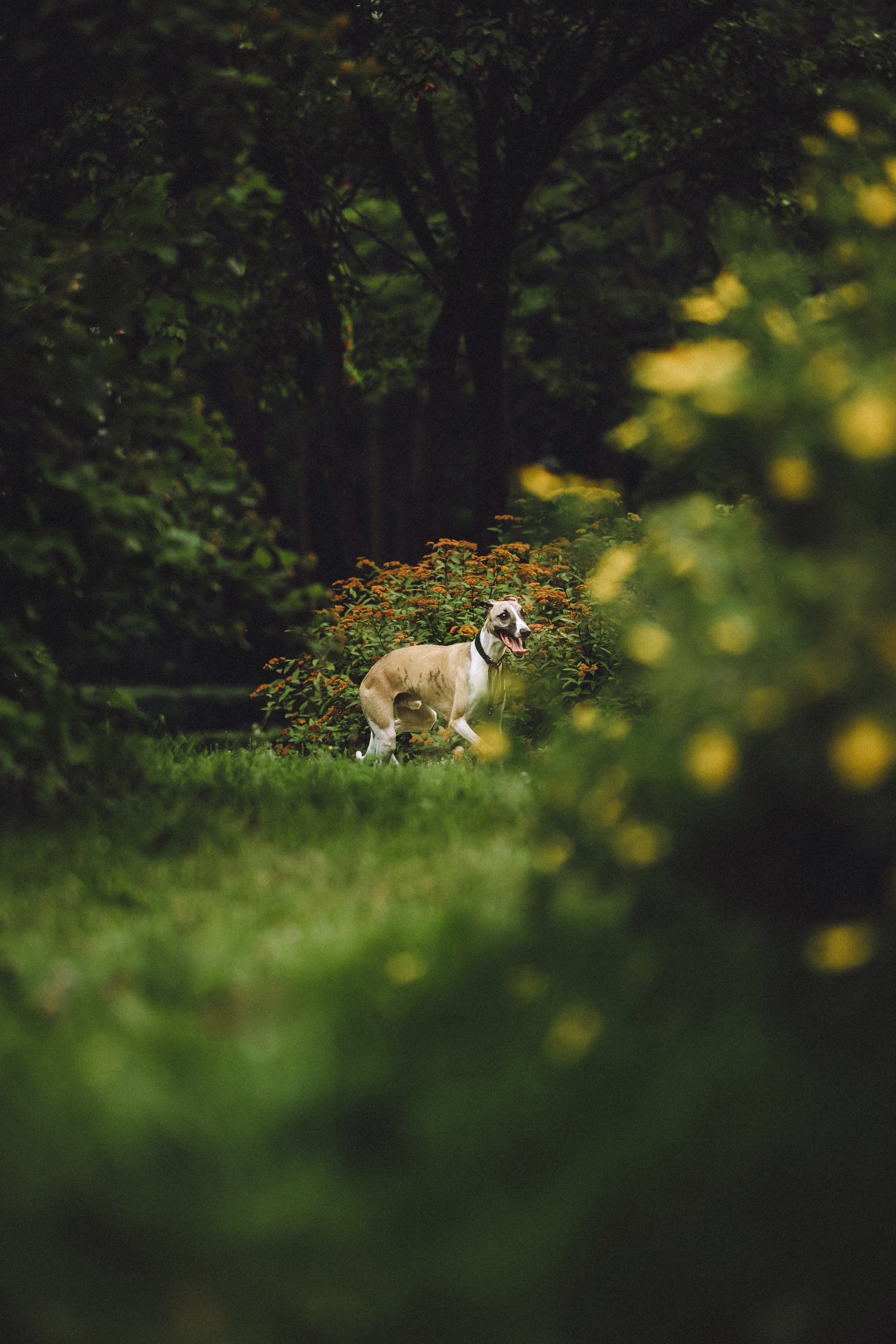 Ирина, Илья и Рик