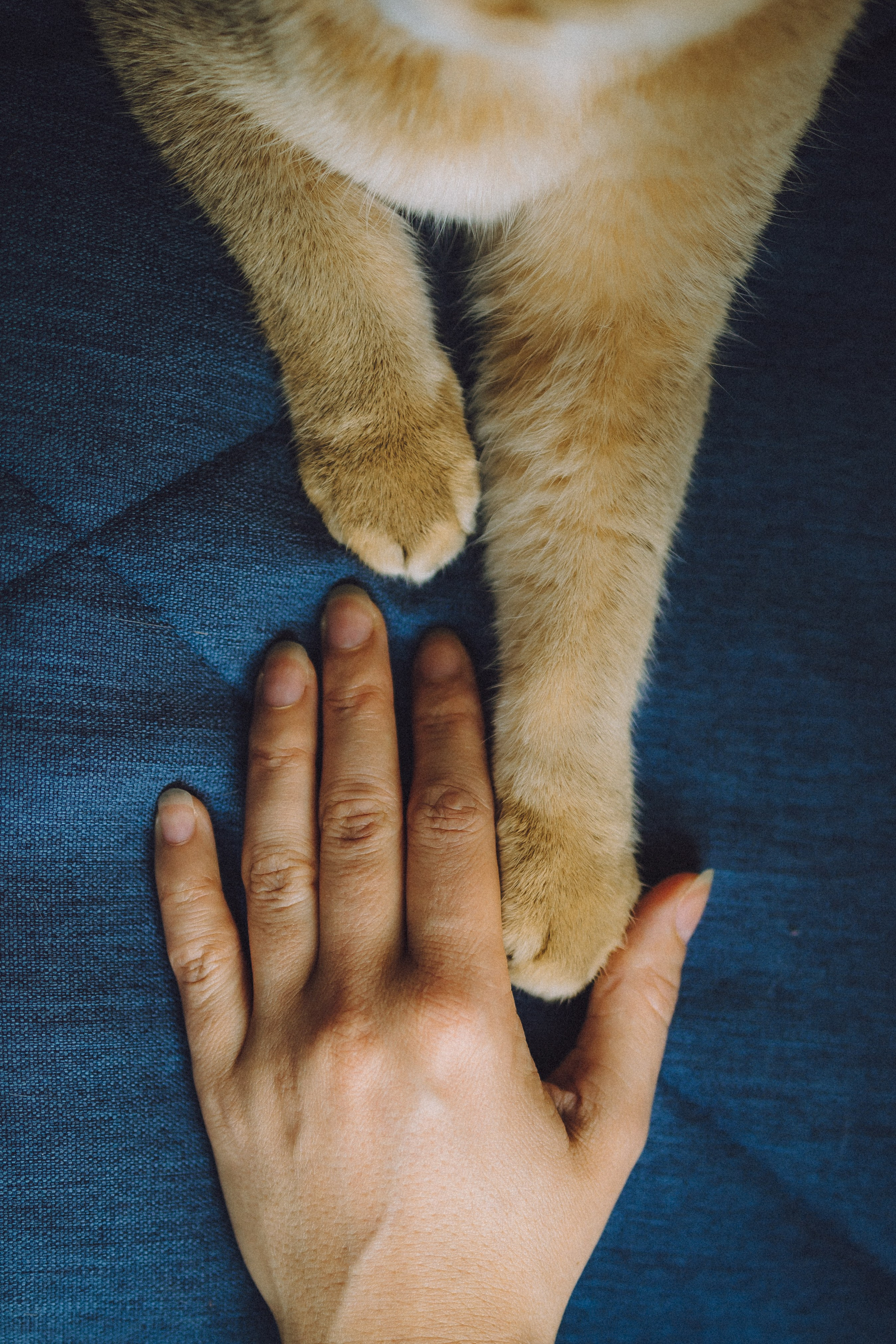 Генри и его семья