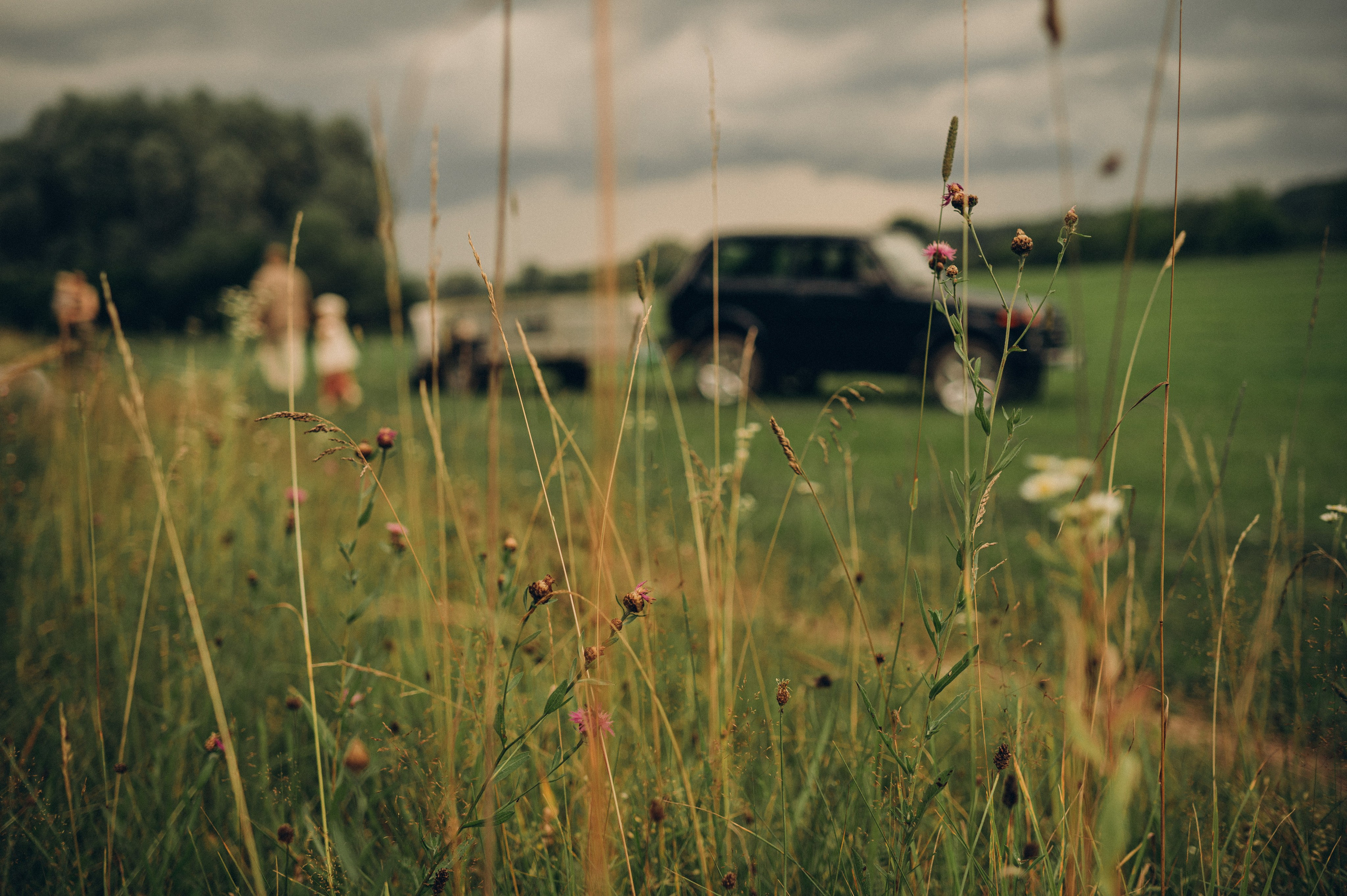 На природе. Фотограф Алиса Чечина. Калуга. Товарково