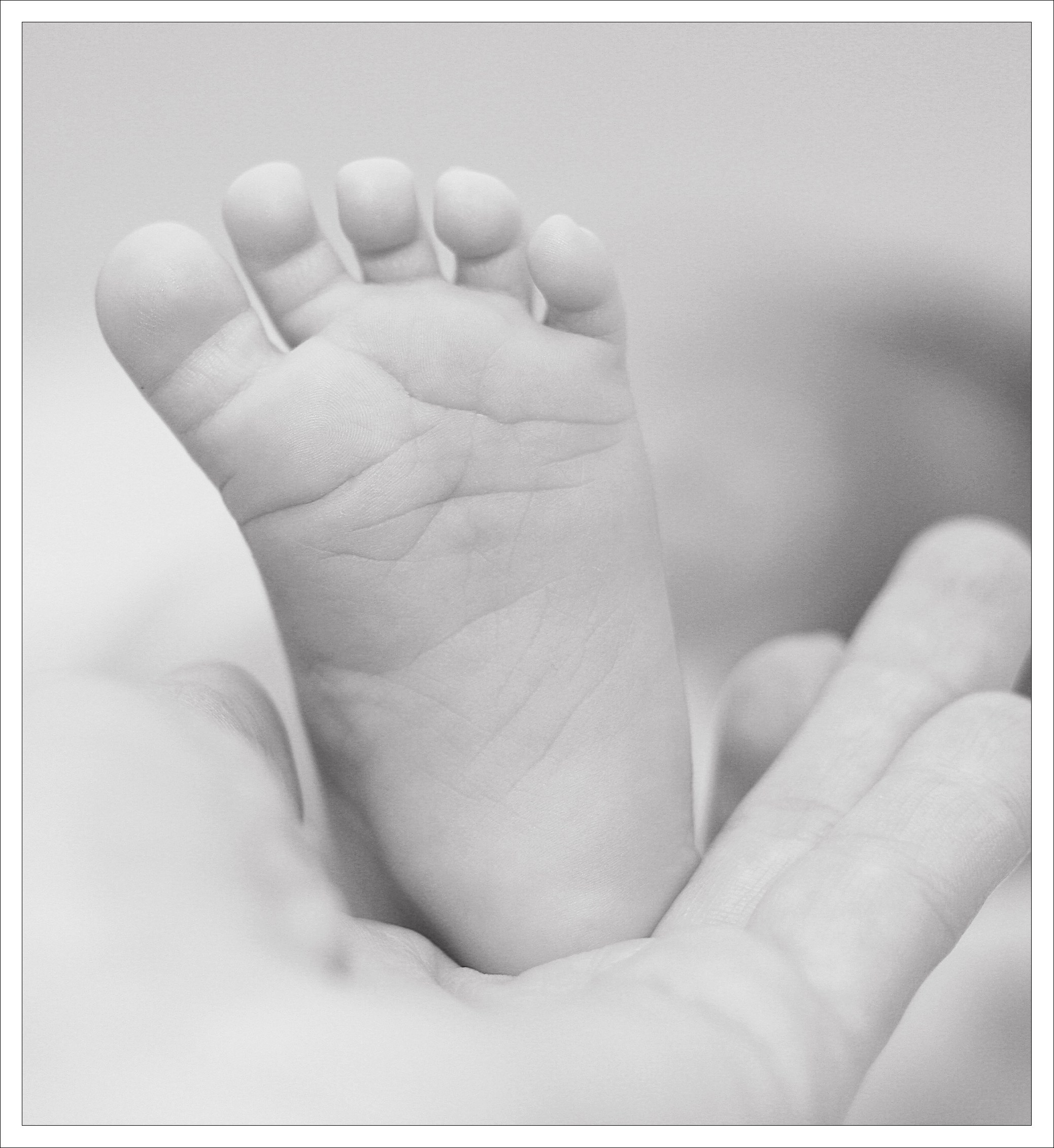 Отзывы. Фото и видео Москва, Московский. Свадебный фотограф, видеограф, фотосессии, видеосъемка