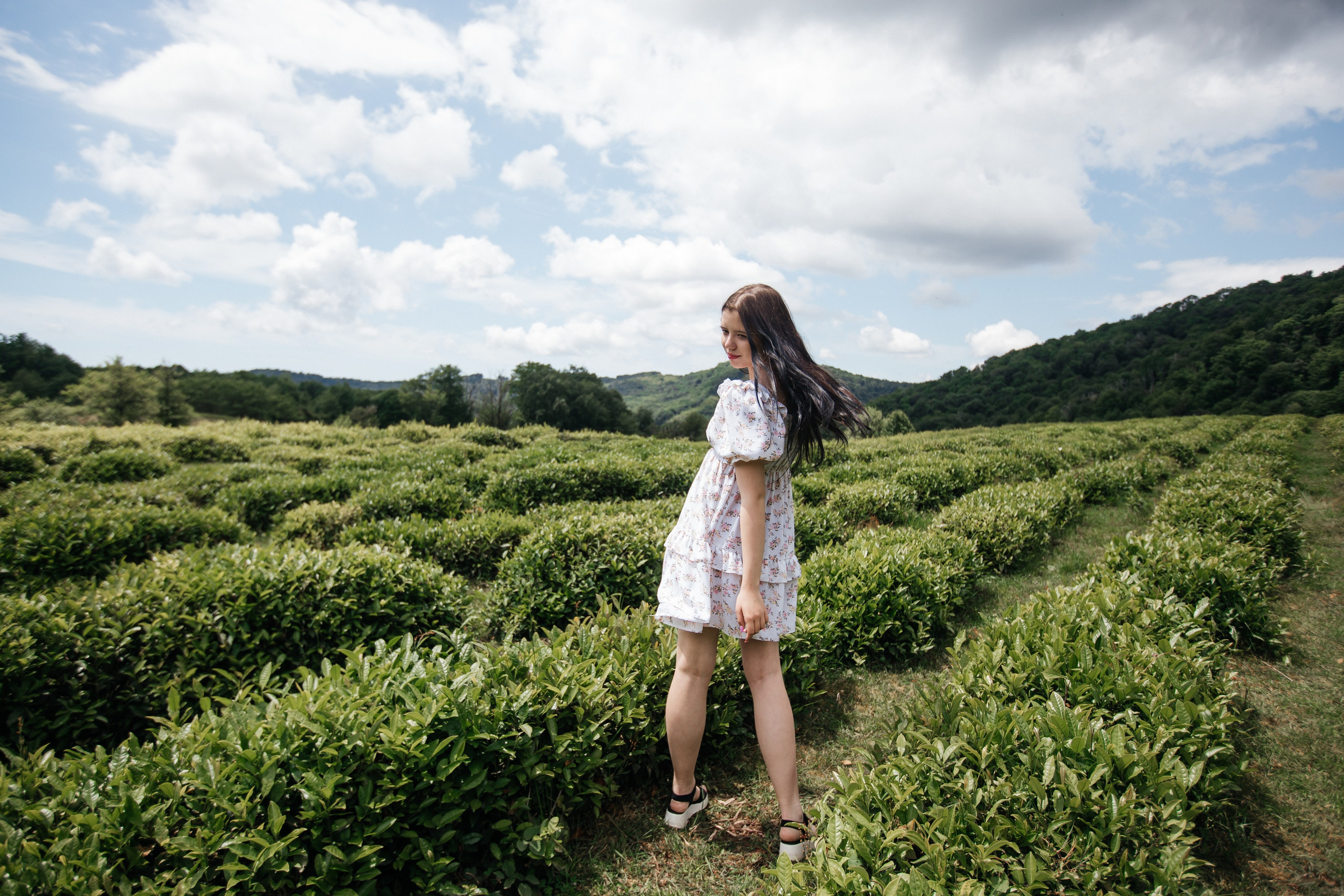 Tea plantation. Efimova Model Agency