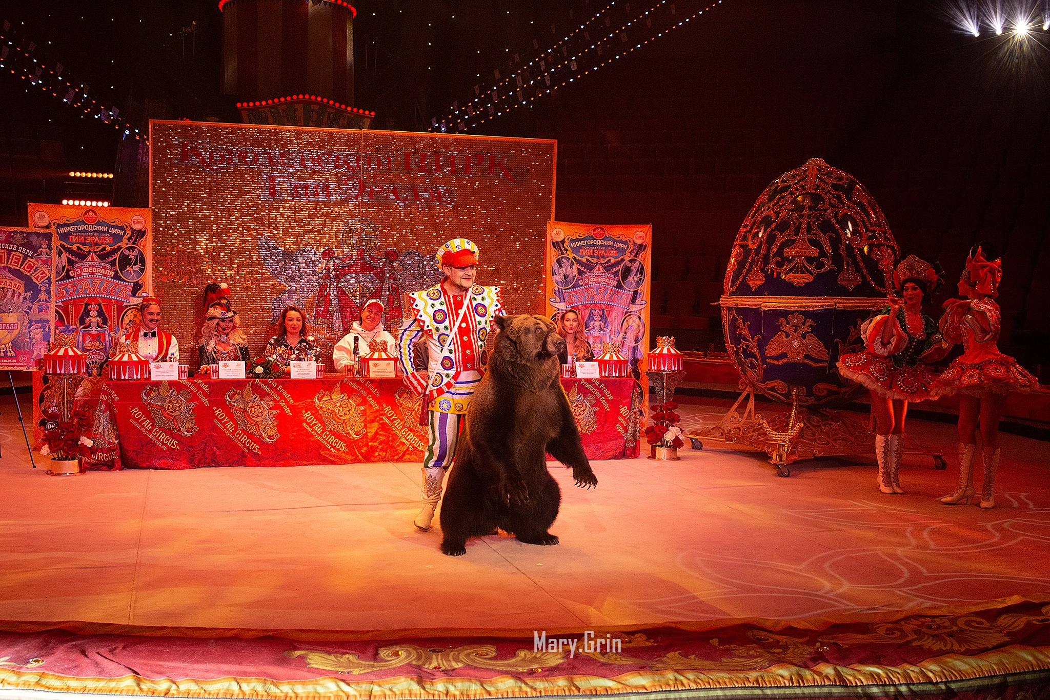 Цирк Гии Эрадзе. Детский и семейный фотограф, фотограф мероприятий Нижний Новгород