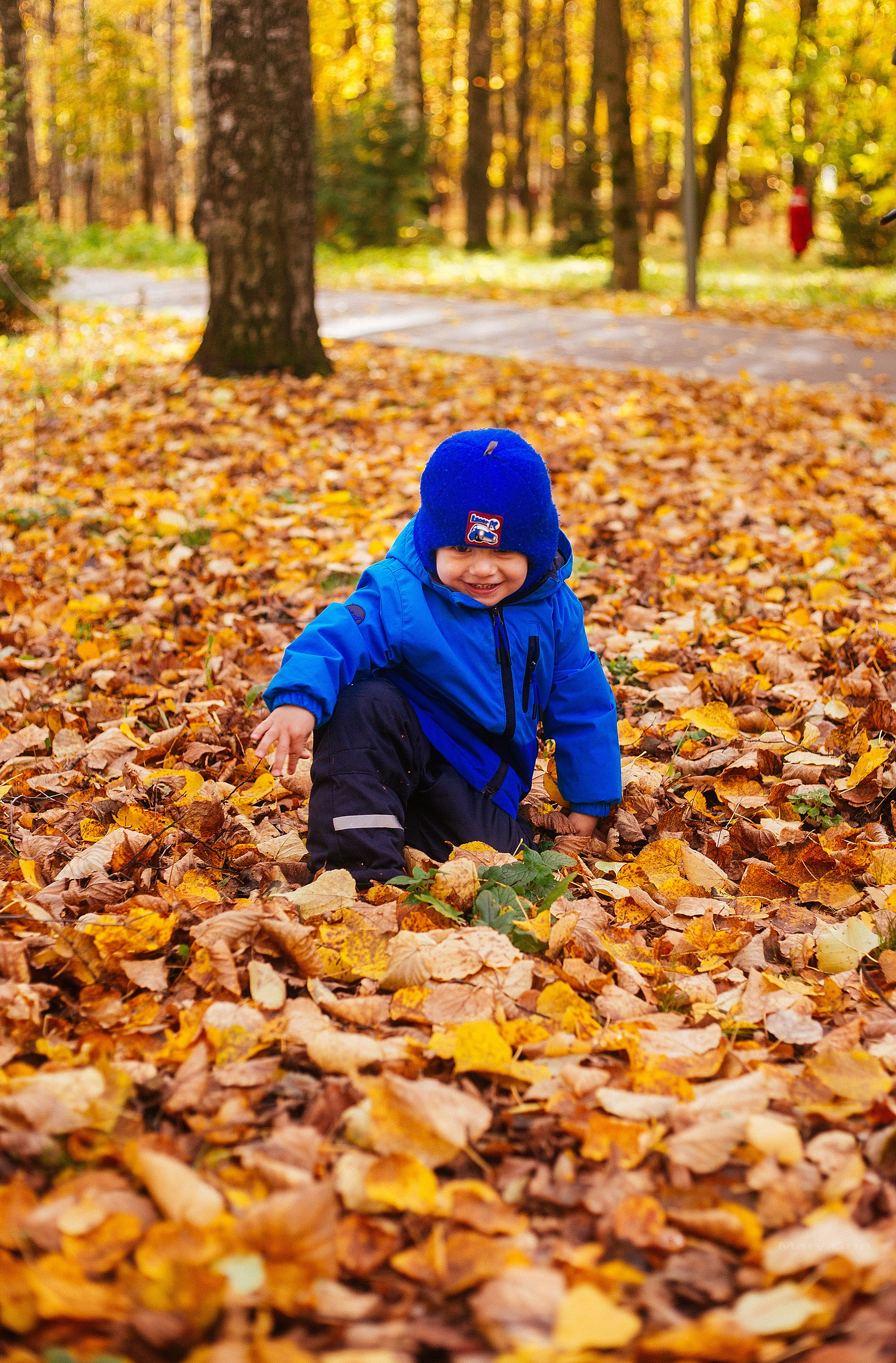 Осень в парке. Детский и семейный фотограф, фотограф мероприятий Нижний Новгород