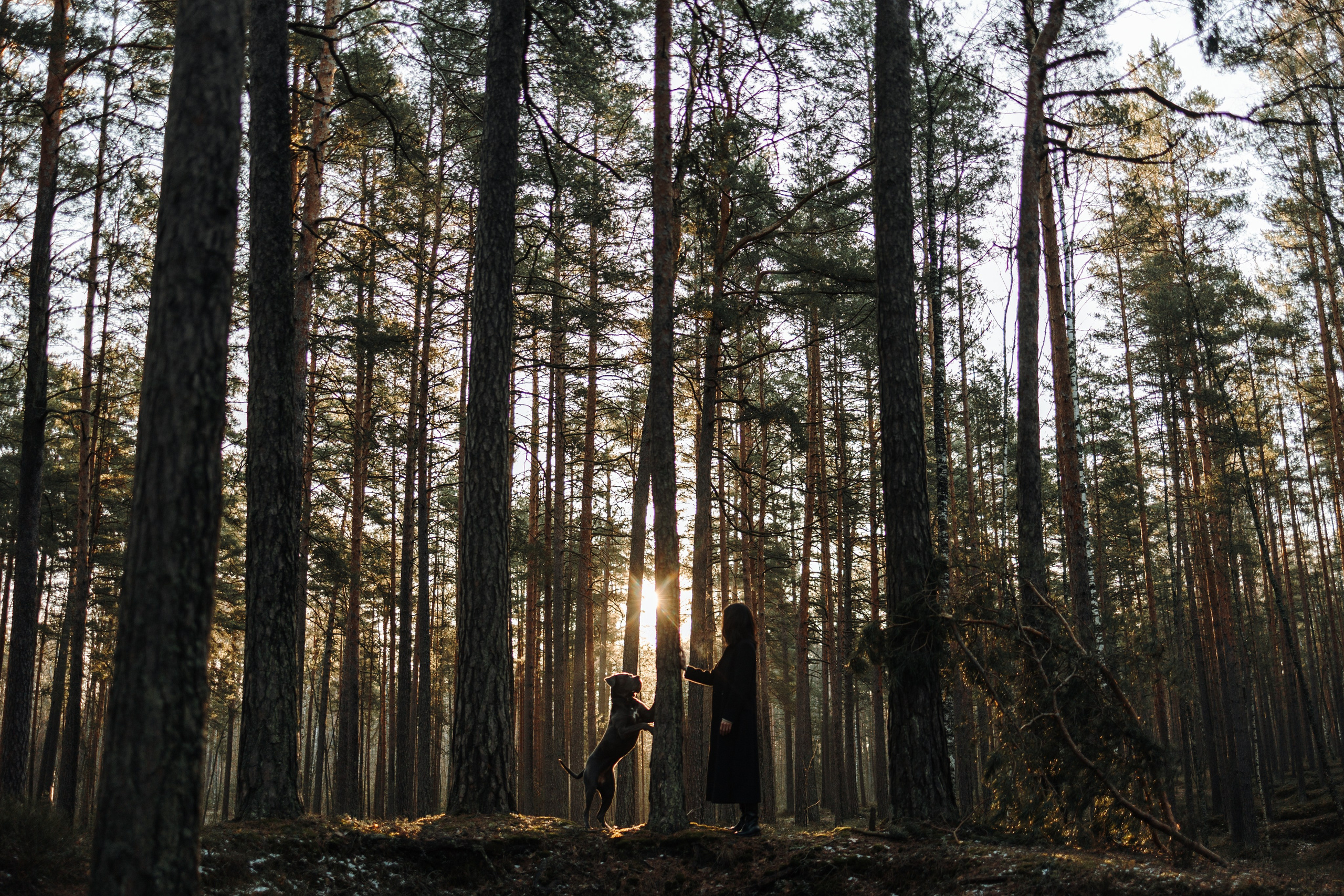 Анна и Лана. Фотограф — Анималист | Санкт-Петербург