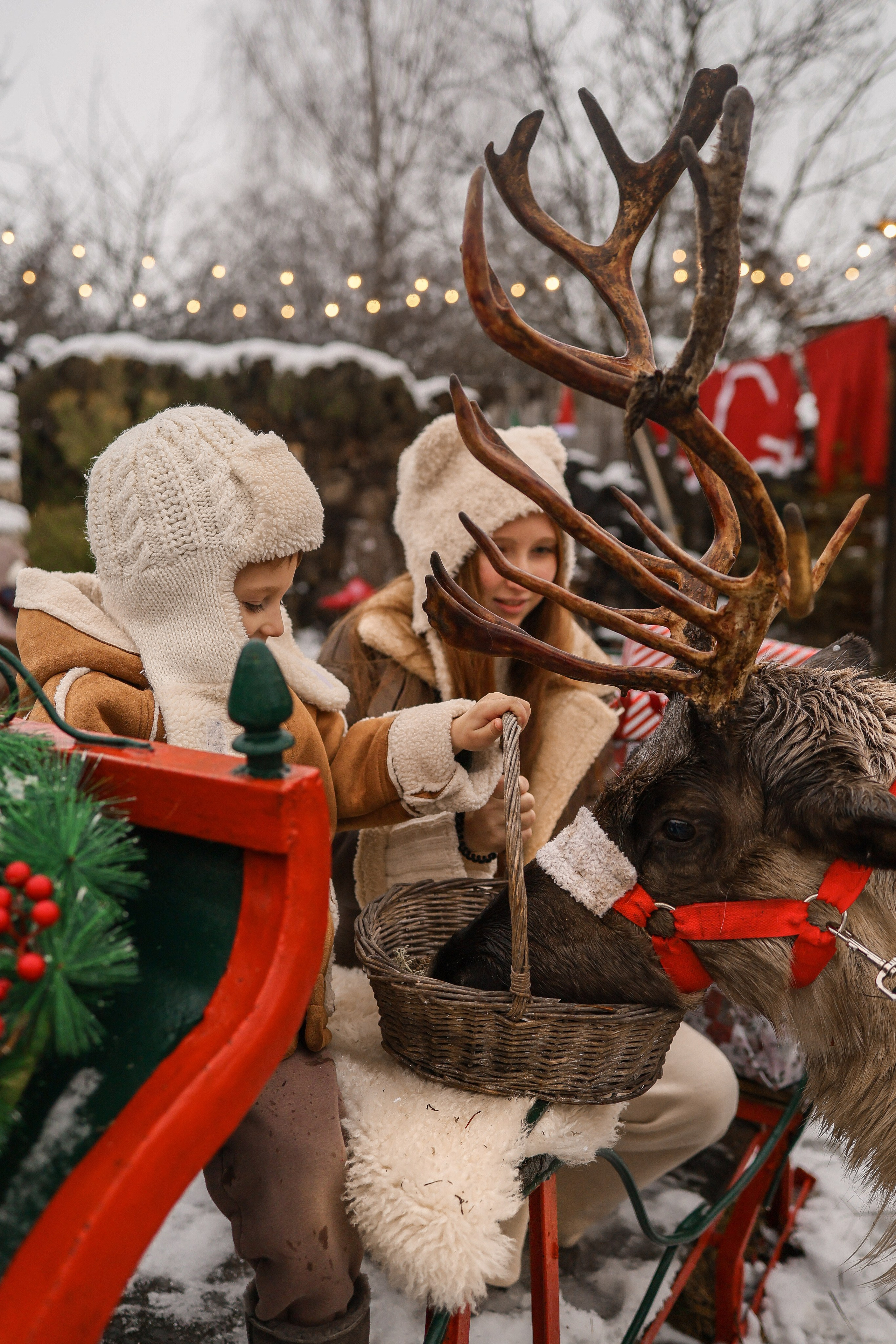 В Гостях у Санты и Северных оленей. Я Лена — семейный фотограф в стиле Life Style Москва и Подмосковья: Балашиха, Пушкино, Щелково, Домодедово, Дмитров. Я за эмоции и любовь