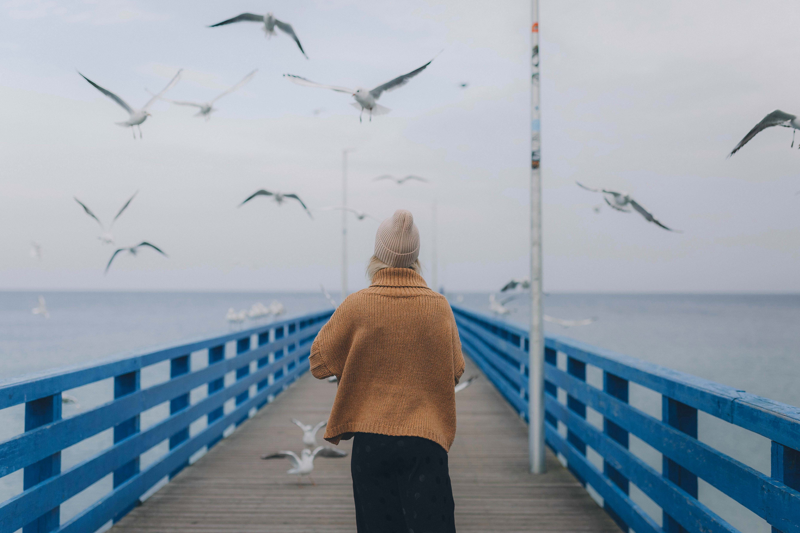 Ксения и чайки. Фотограф Зеленоградск Красильникова Елена