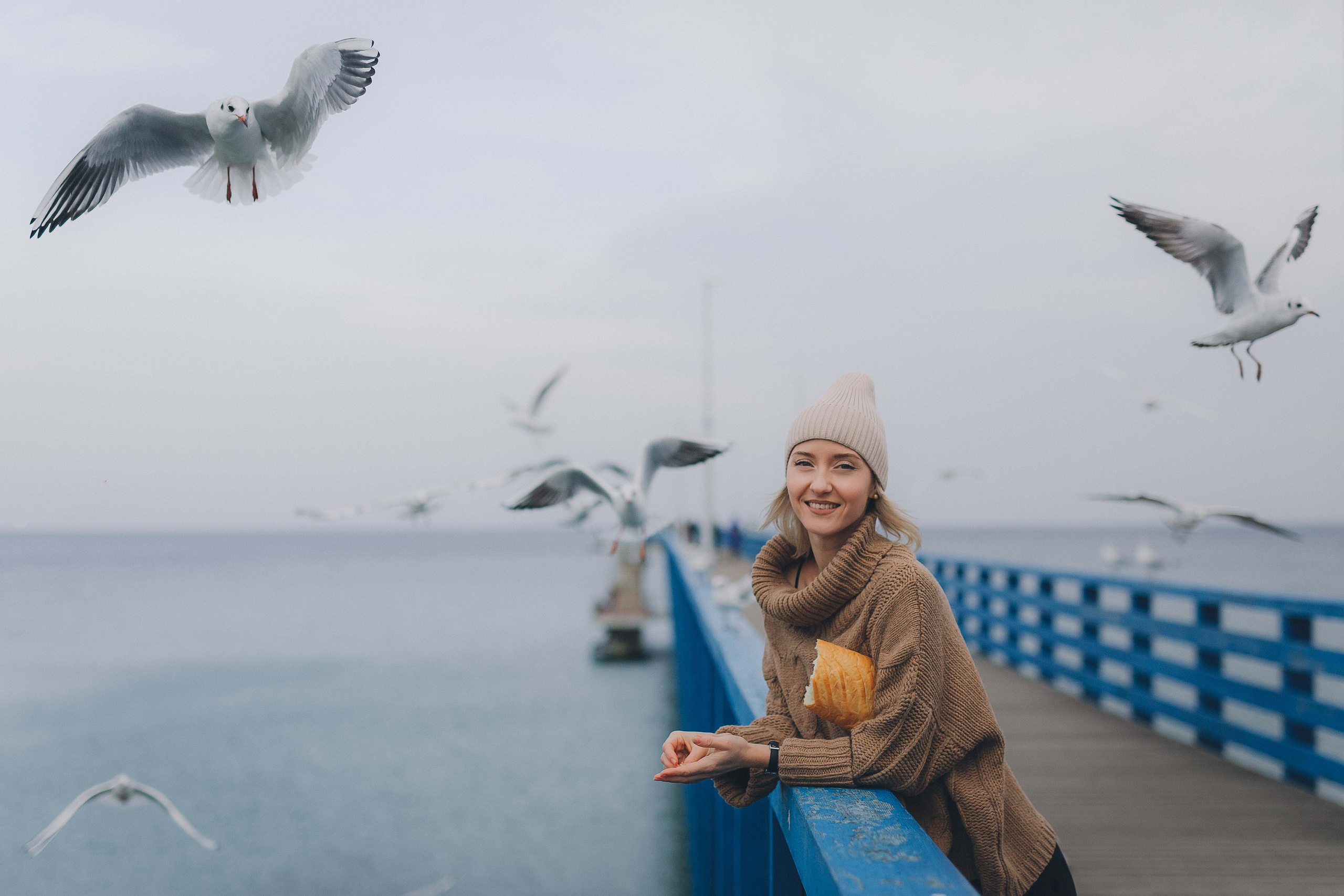 Ксения и чайки. Фотограф Зеленоградск Красильникова Елена