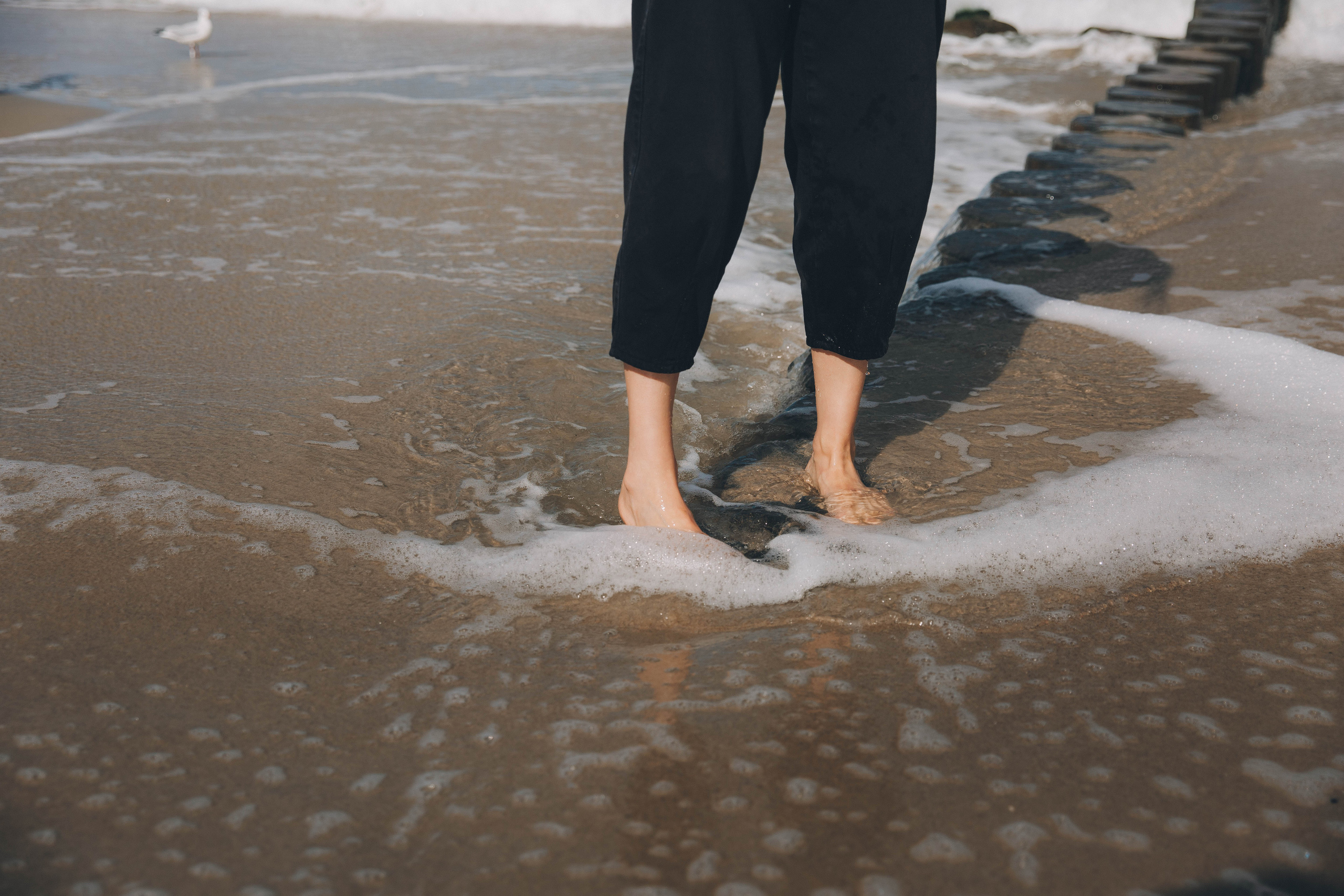 Осенняя Балтика и неувядающая любовь. Фотограф Зеленоградск Красильникова Елена