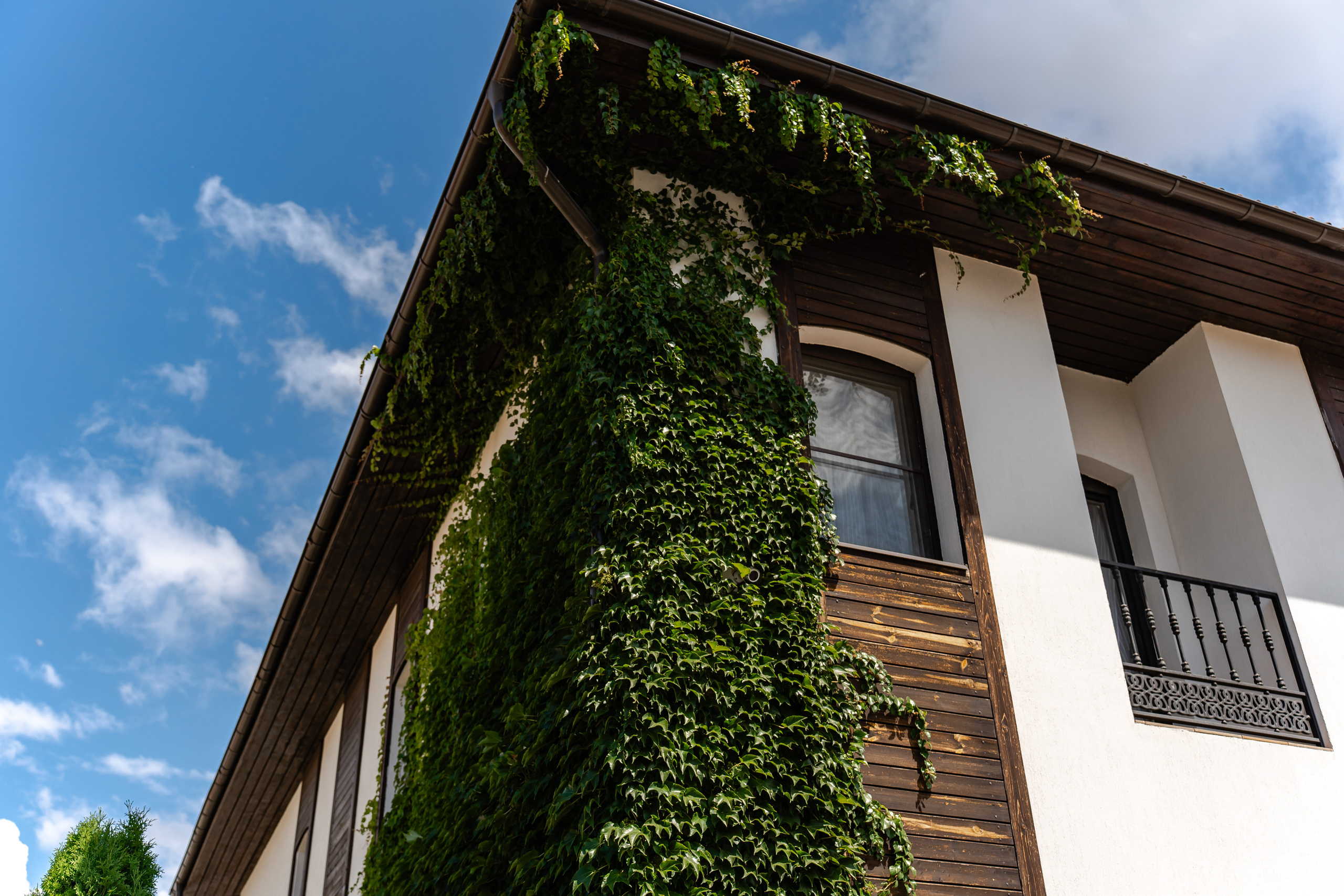 Немецкая деревня. Создаю контент для бизнеса- Андрей Корниенко и упаковываю компании и экспертов в Краснодаре