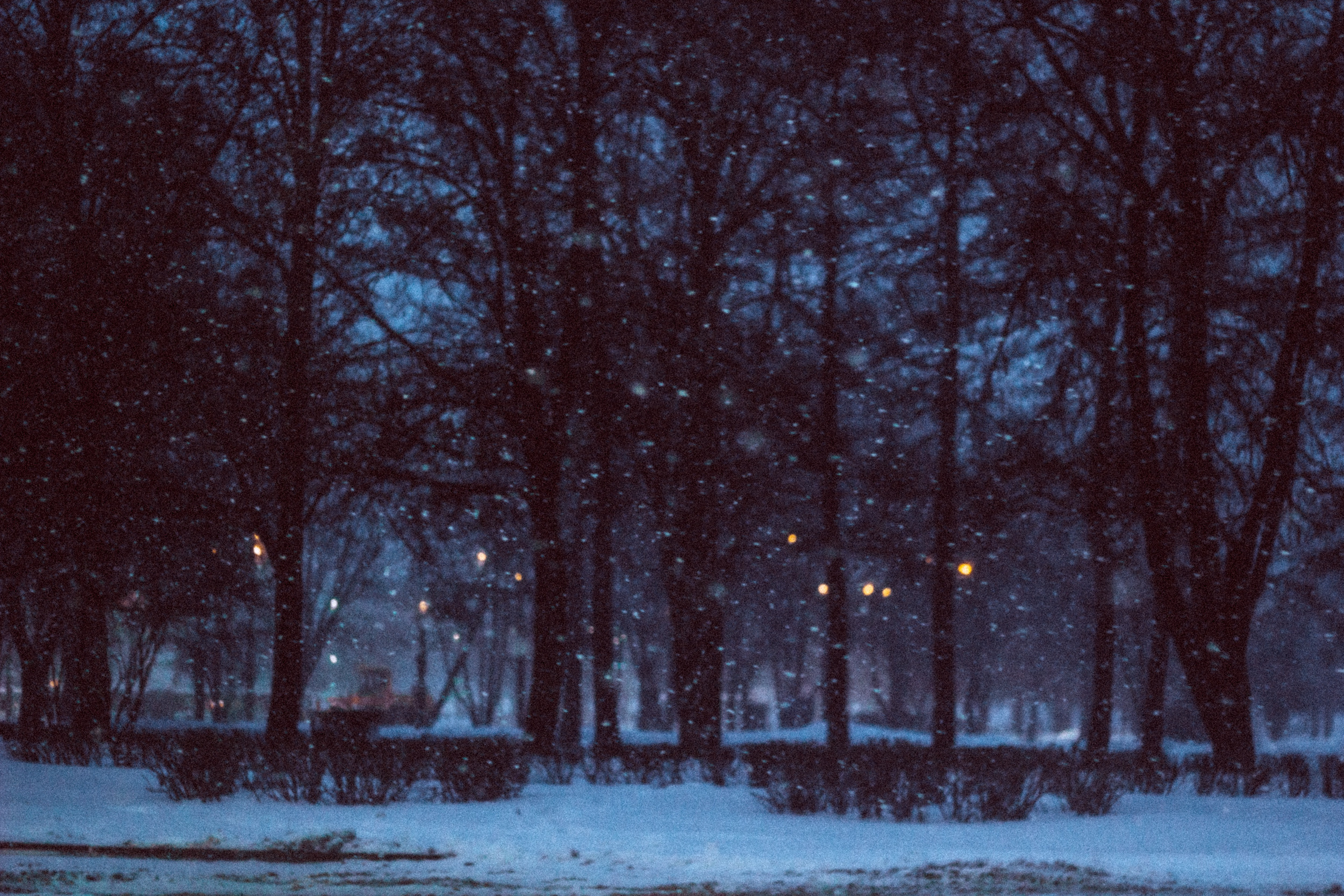 Дом. Фотограф в Москве и Санкт-Петербурге Саша Кар