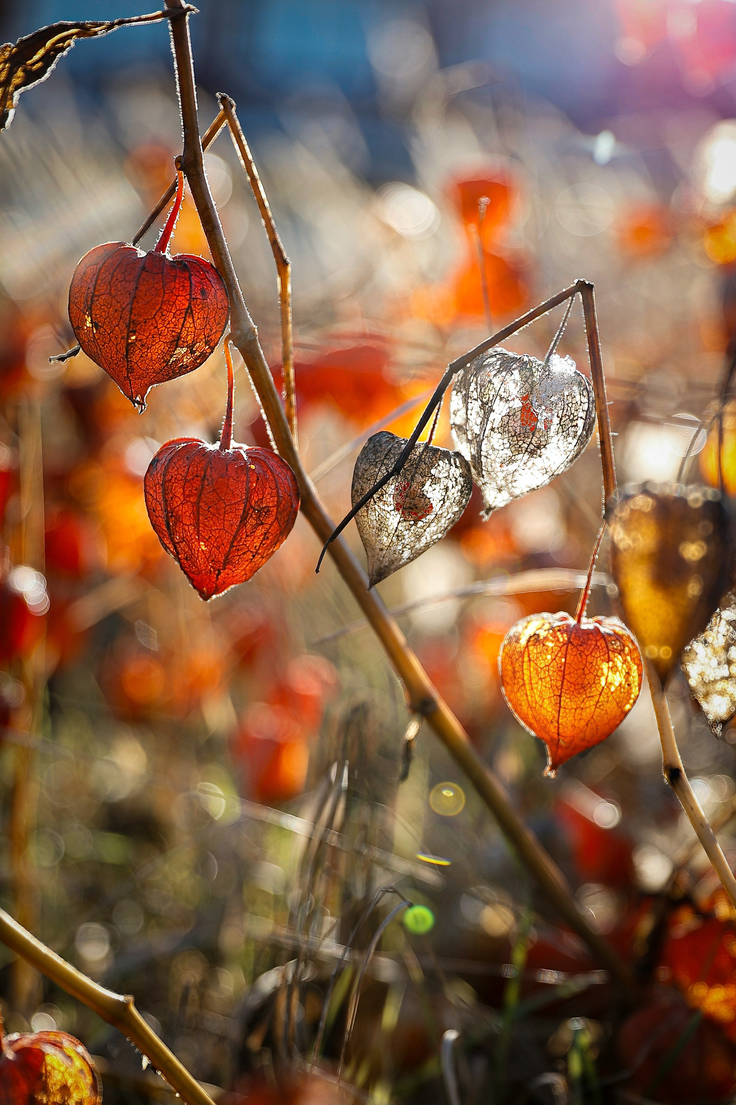 ПЕЙЗАЖИ. Профессиональный фотограф в Москве  Елена Фатьянова
