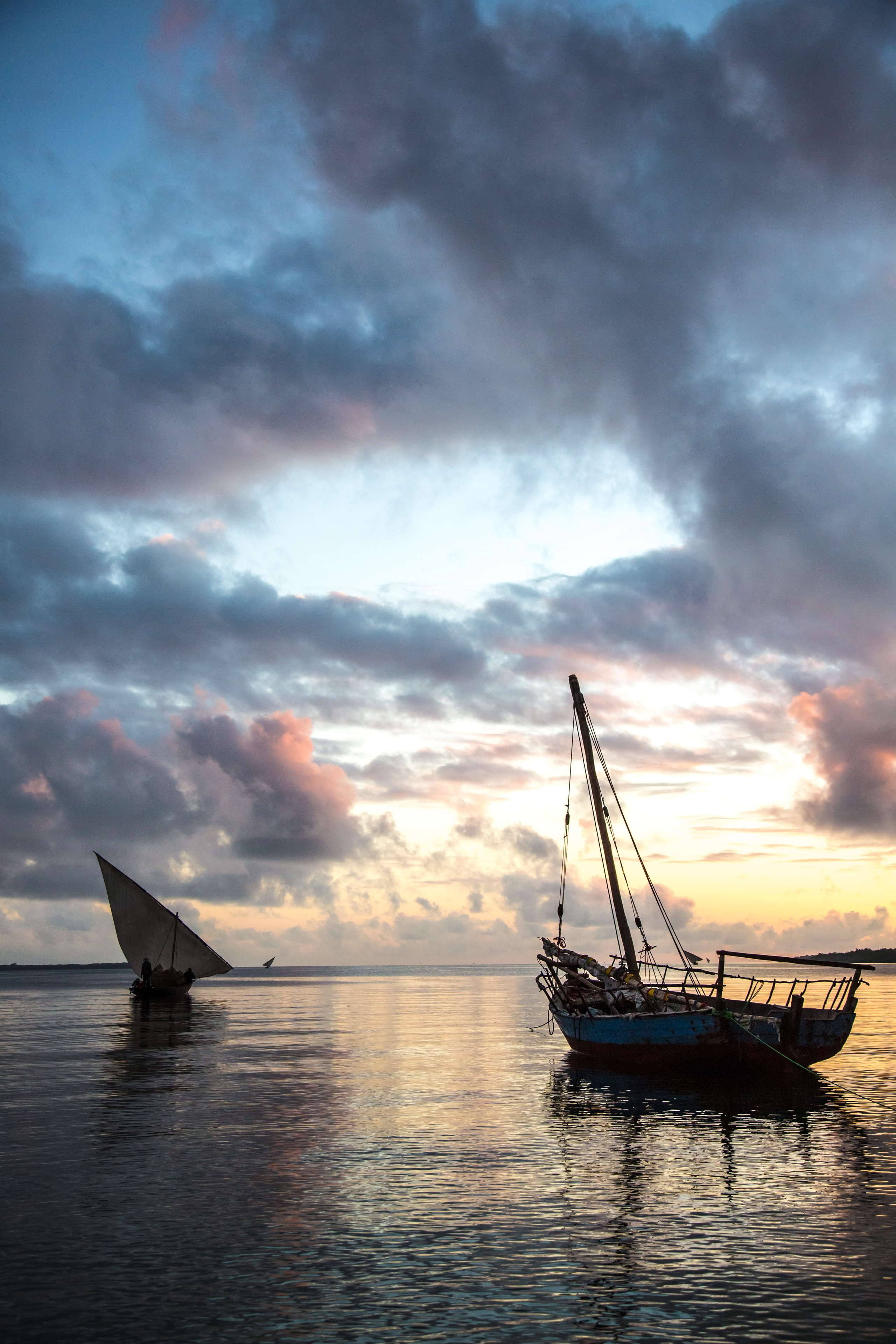 Танзания. Добродеева Алла фотограф, Москва