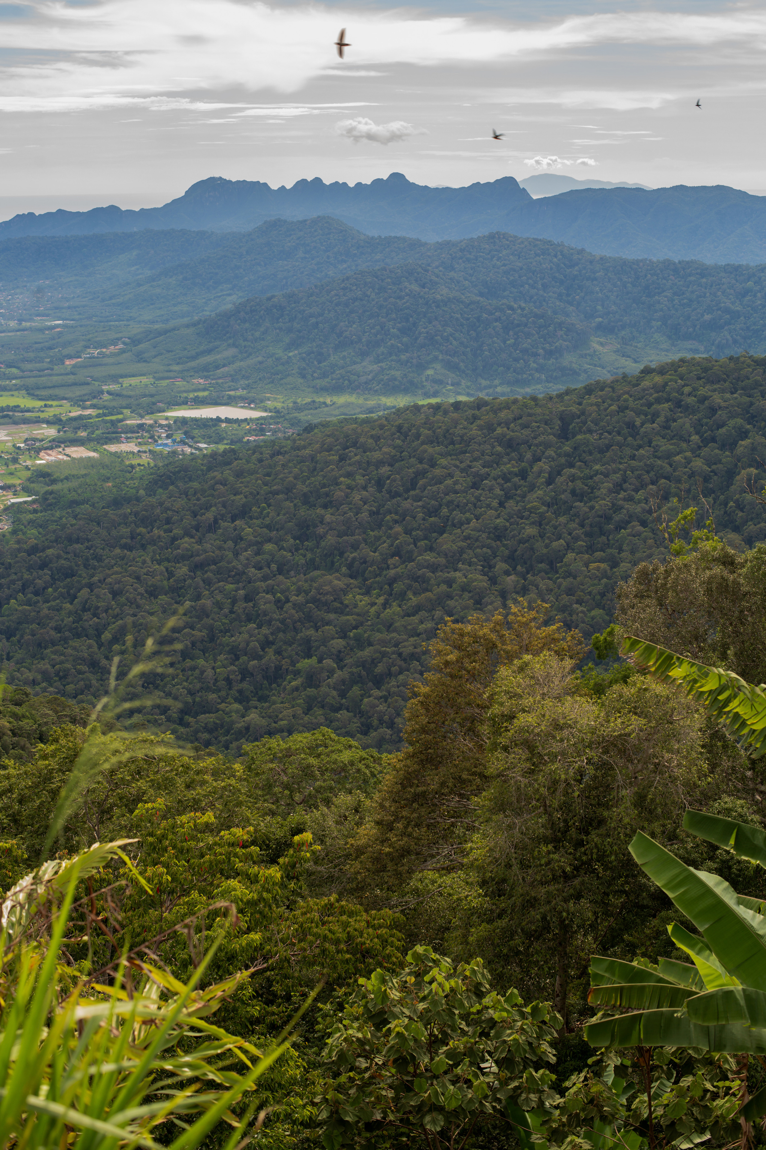 Архитектурная и средовая съёмки. Фотограф Евгений Казекин