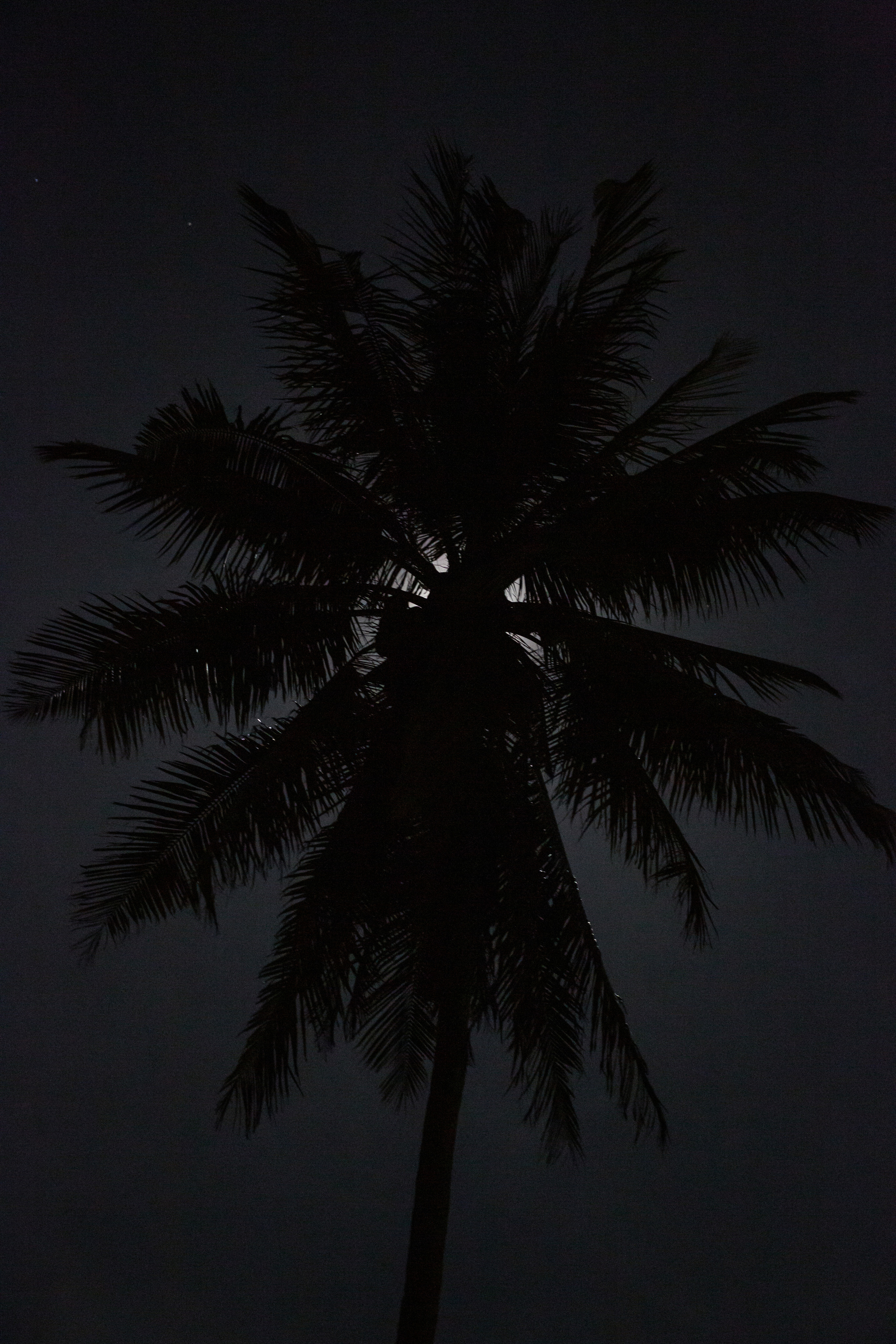 Архитектурная и средовая съёмки. Фотограф Евгений Казекин