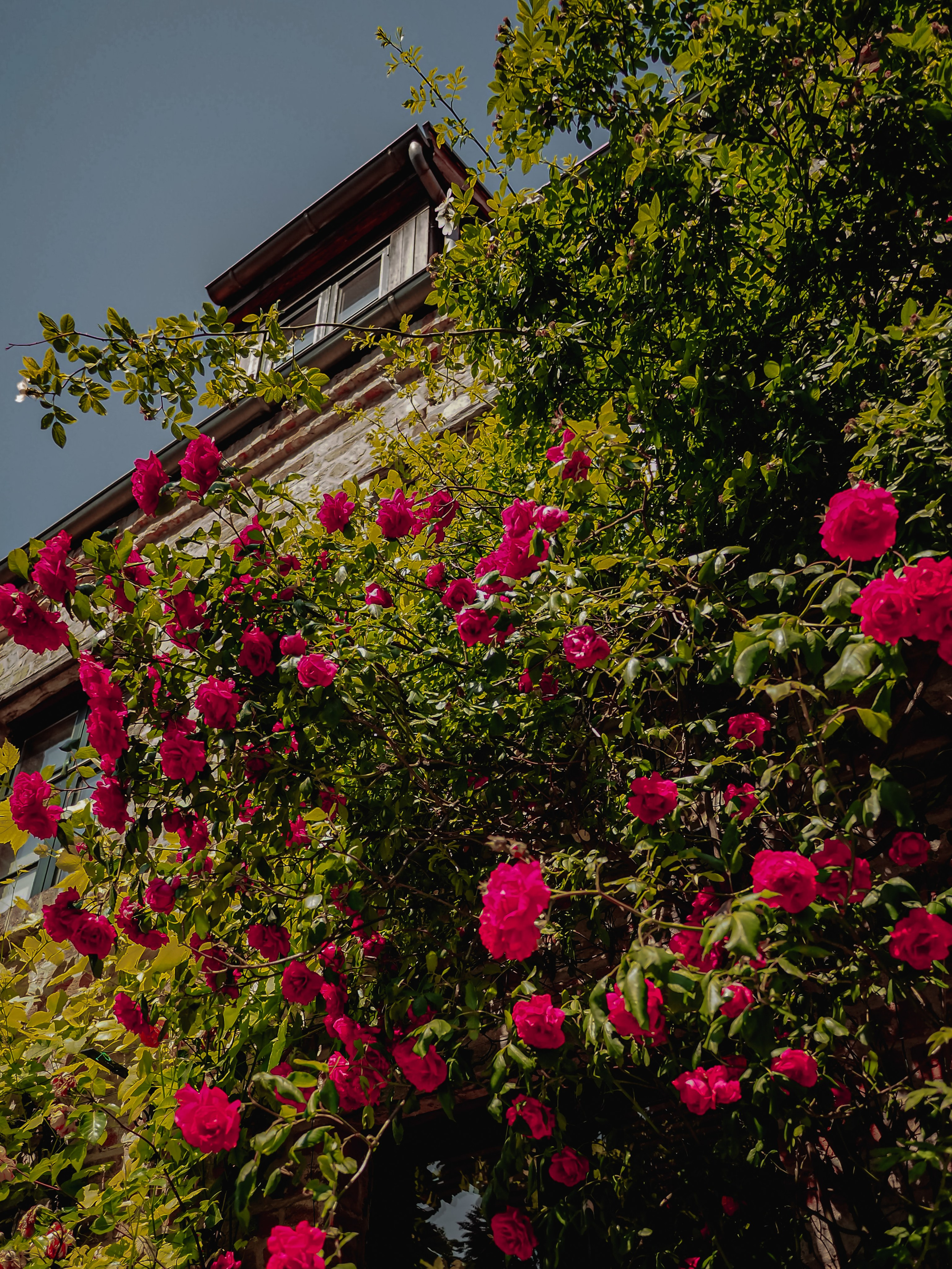 Росток. Германия. Репортажный фотограф в Берлине Александра Герман