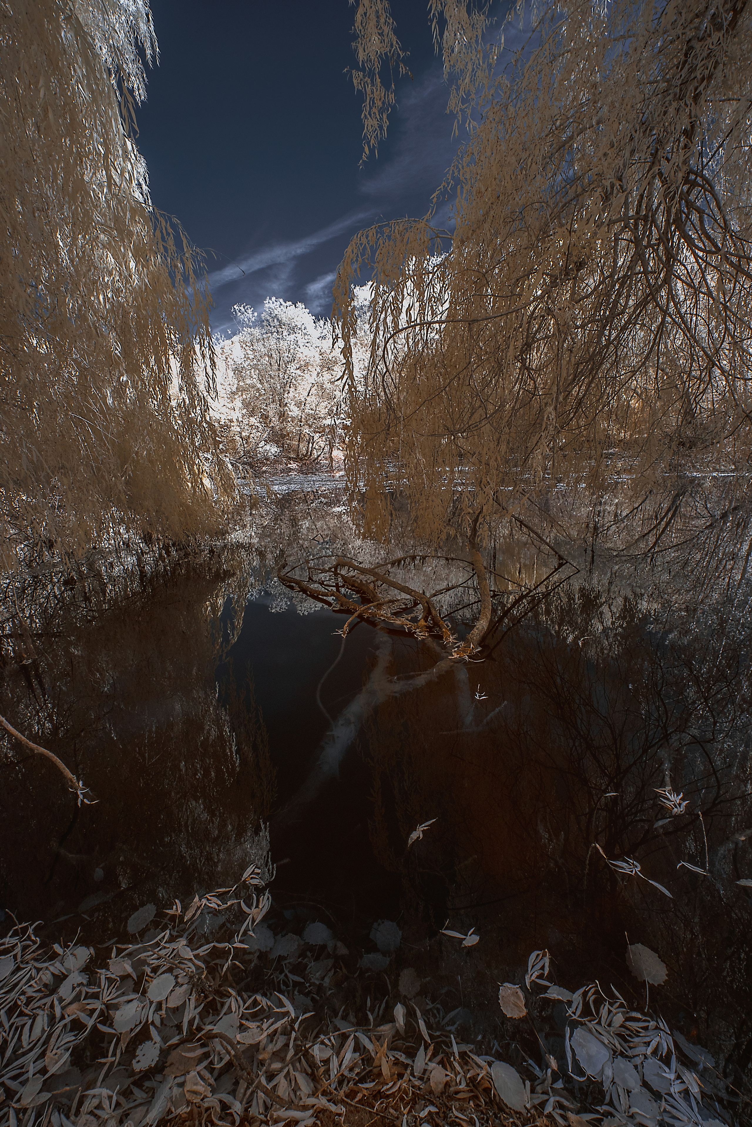 Адыгея. Профессиональная фотосъемка. Ростов-на-Дону