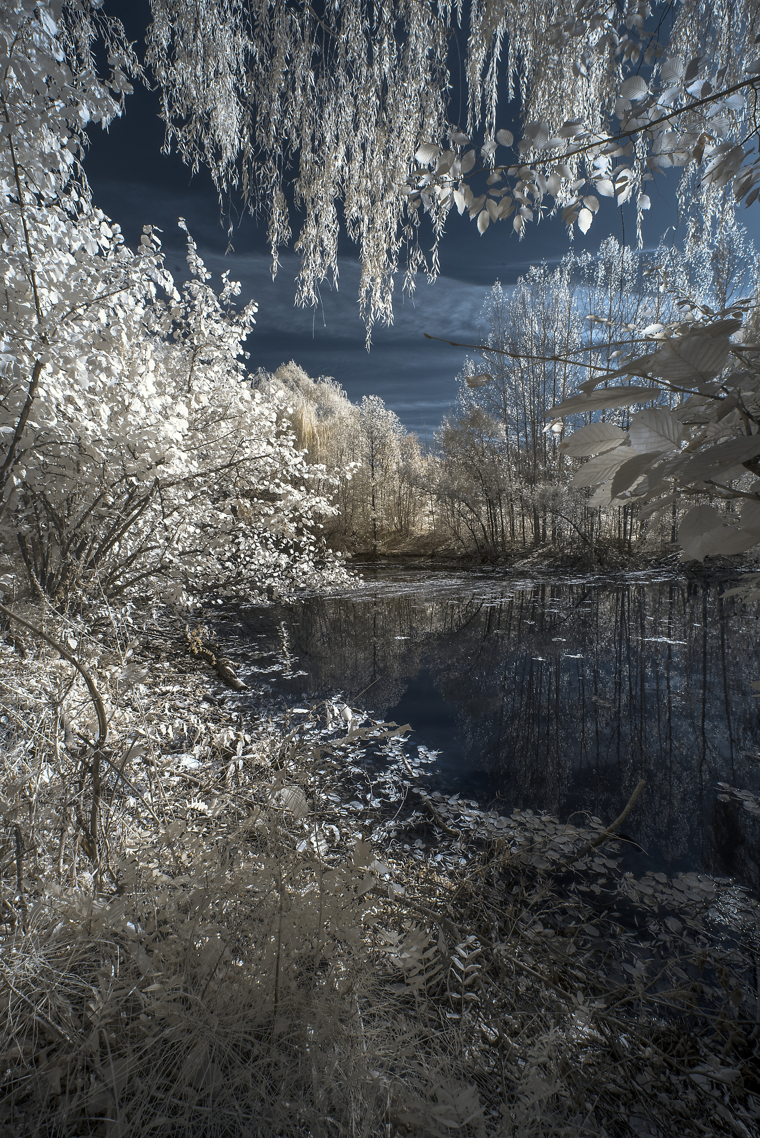 Адыгея. Профессиональная фотосъемка. Ростов-на-Дону