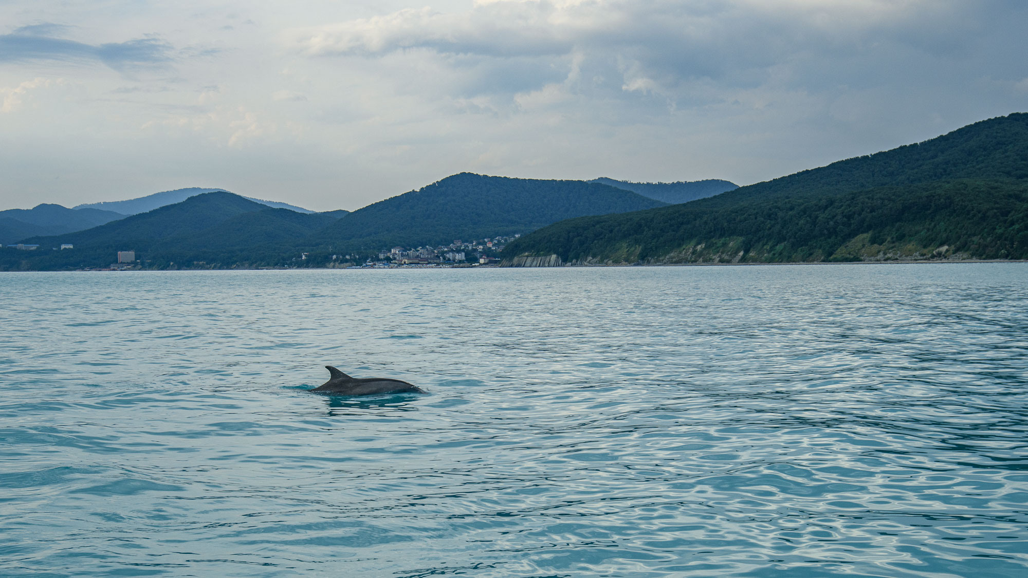 Фотосъемка Дня Рождения. Профессиональная фотосъемка. Ростов-на-Дону