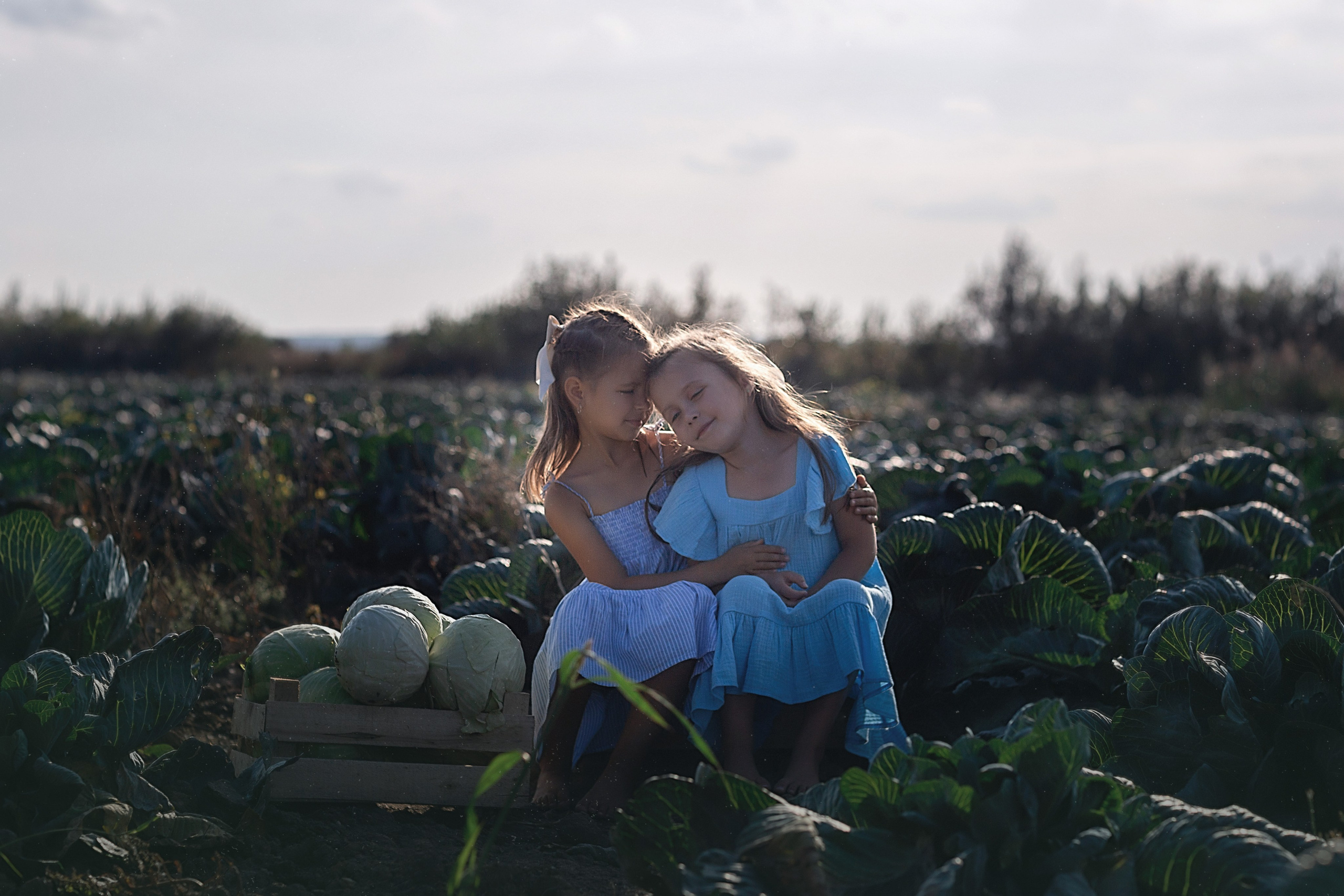 Капустное поле_Ленинградская область. Семейный фотограф в Санкт-Петербурге