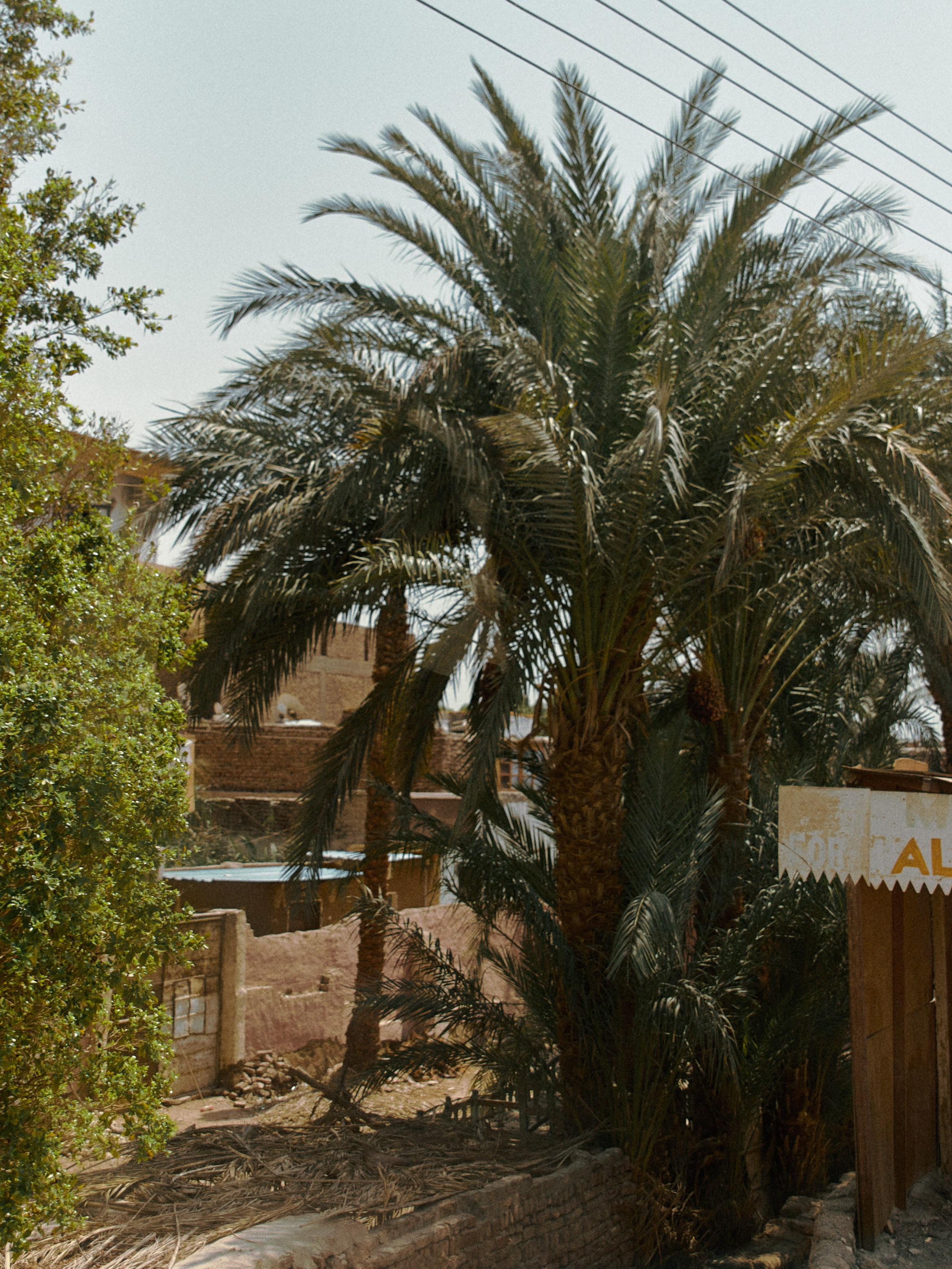 Другое 2. Jorgis Talè — photographer, kind person, teacher of arts and other mag