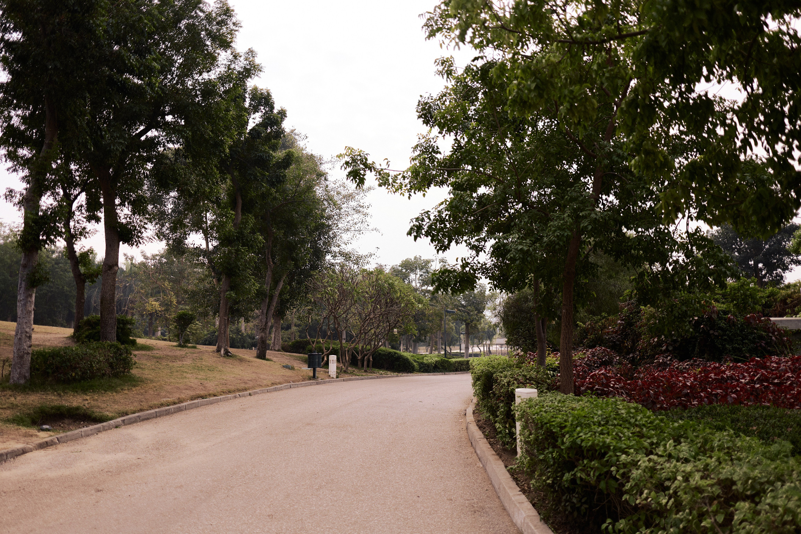 Другое 4. Jorgis — фотограф в Хургаде / обучение фотографии