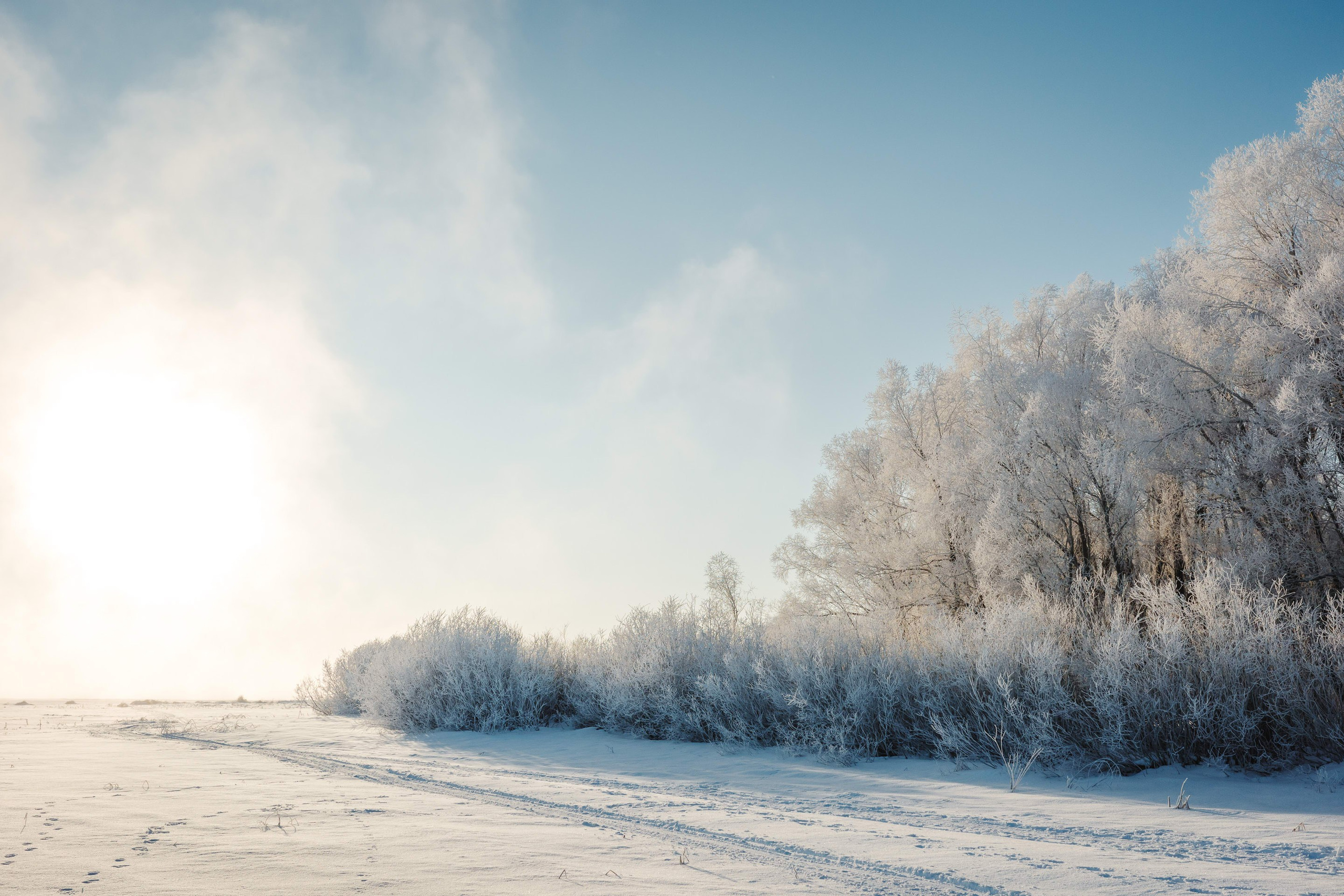 2024.01. Фотограф Алексей Алексеев