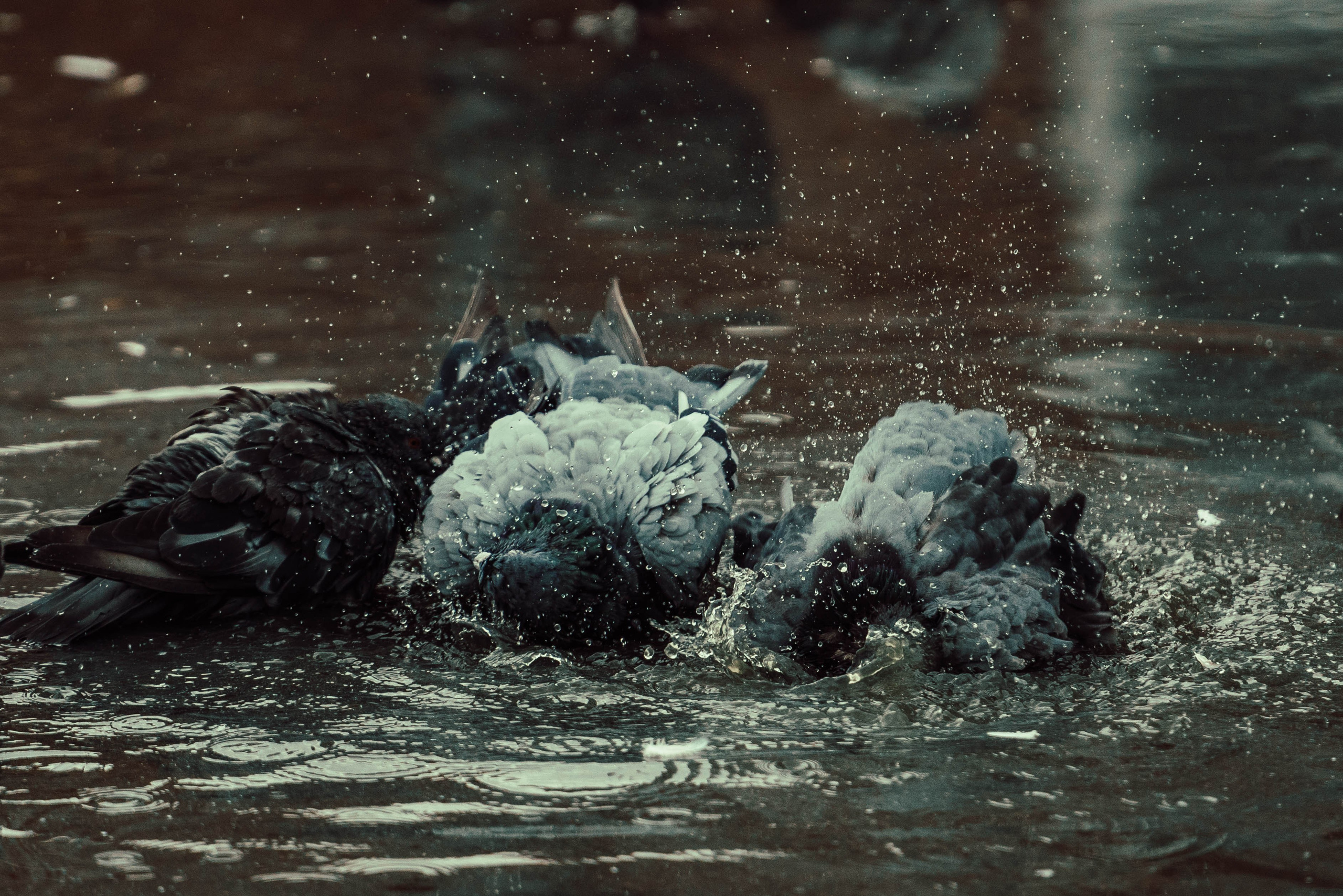 Усть-Каменогорск, Сентябрь 2024