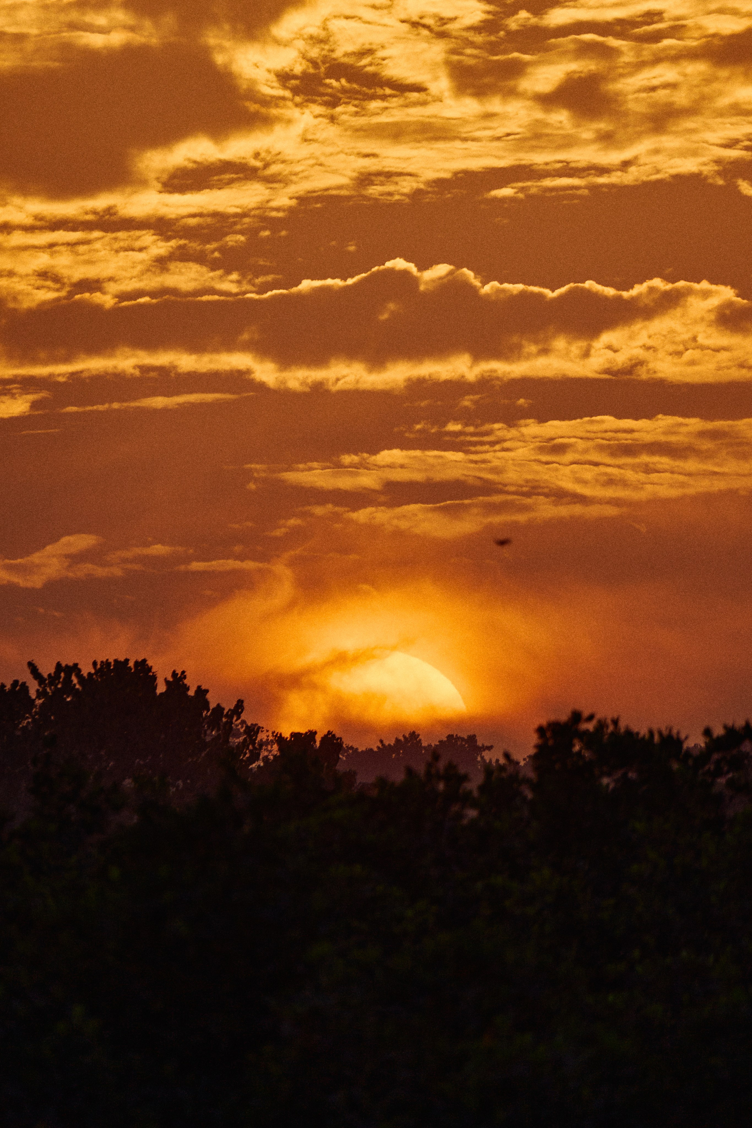Guinea-Bissau. See the moment and catche. commercial and reportage