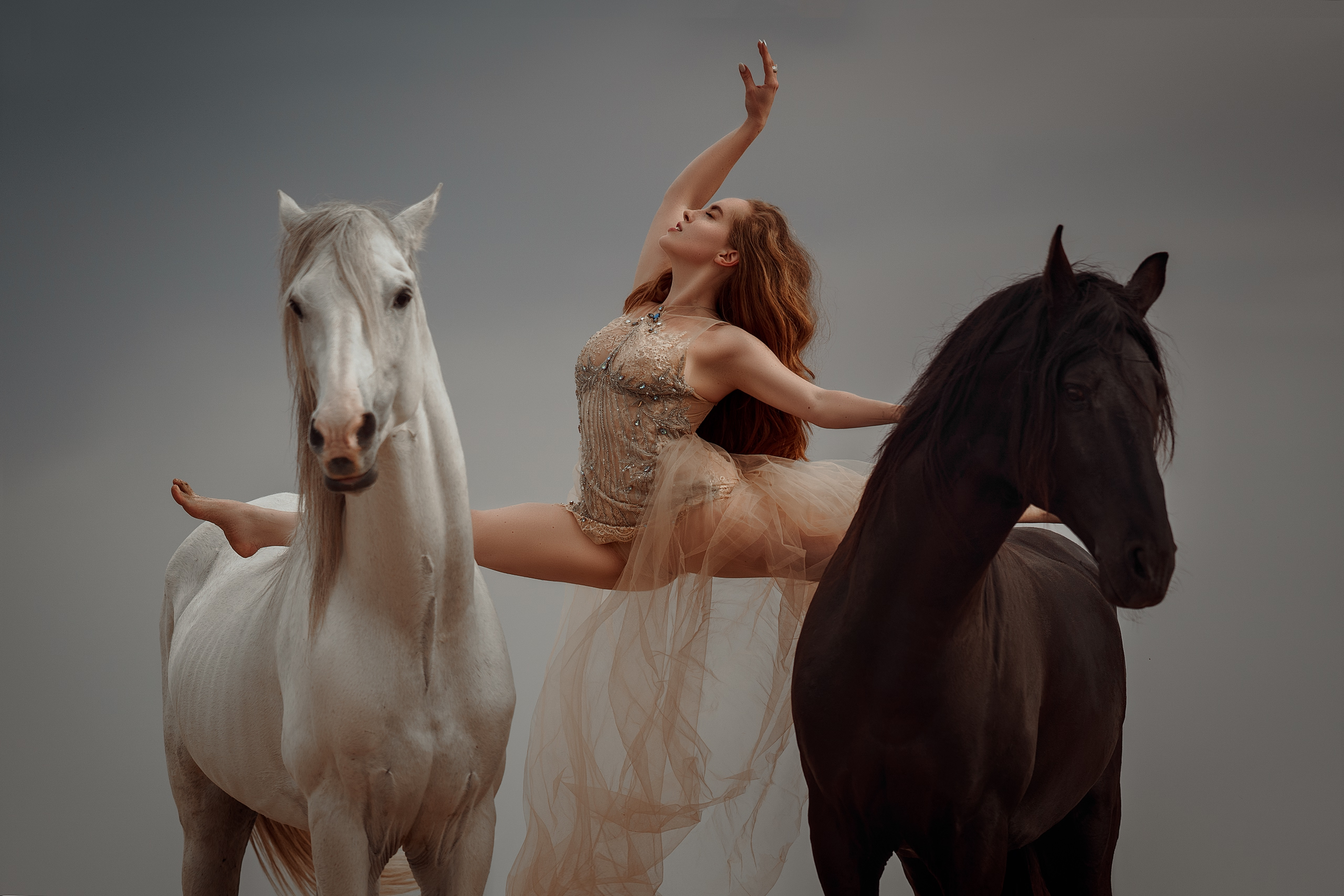 Фотосессии с лошадьми. Фотограф Артемьева Катерина|фотосессии с лошадьми