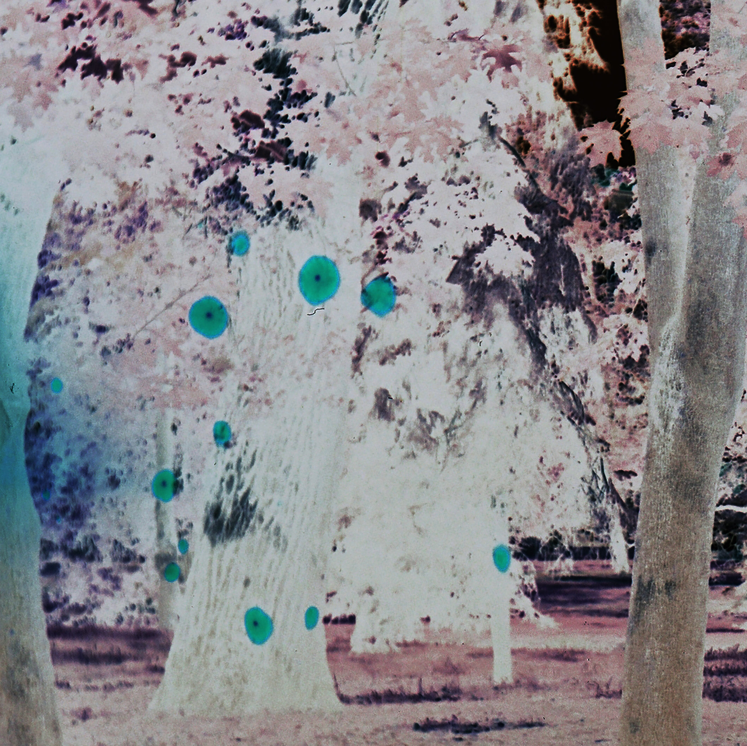 Юля Германович. Private image