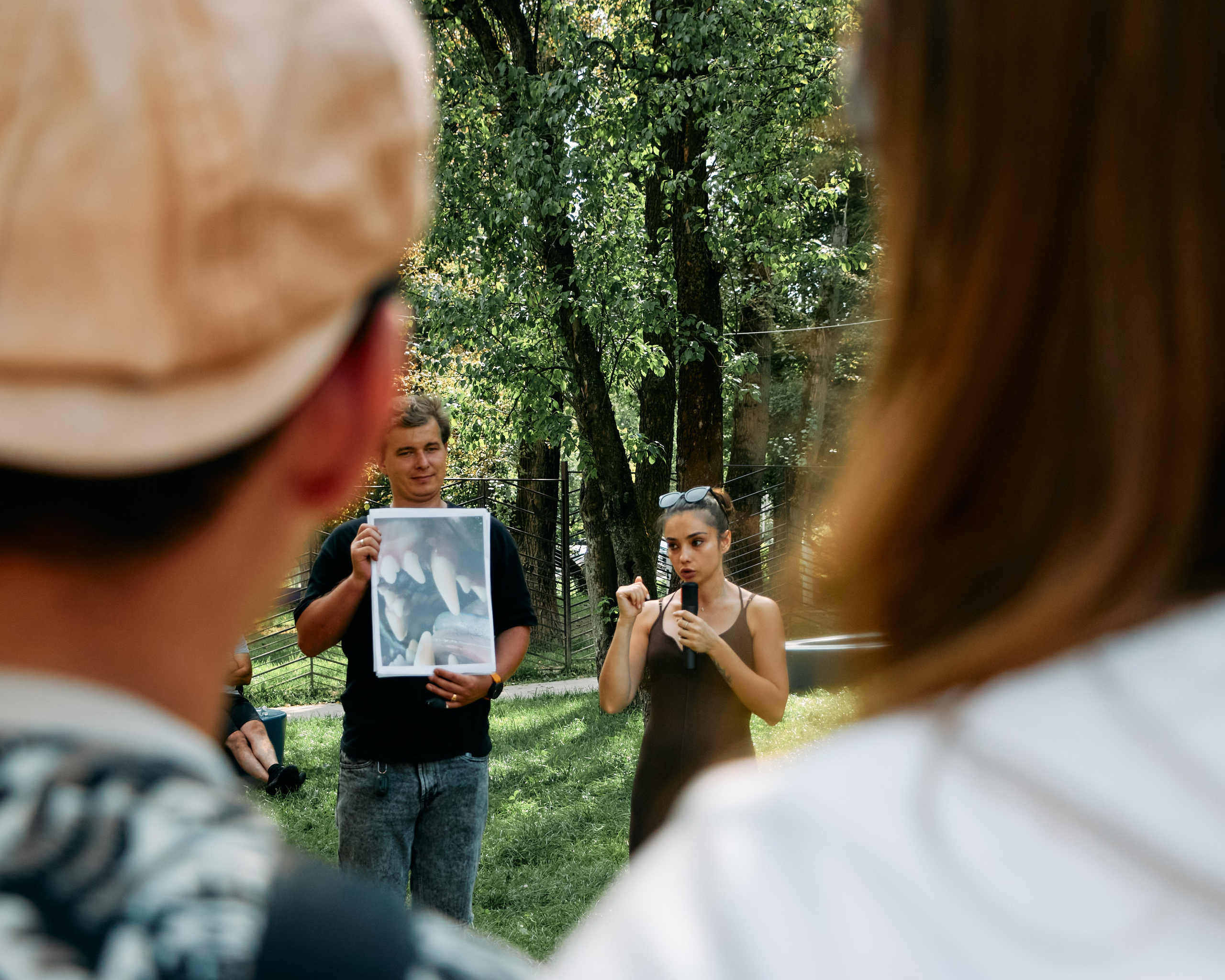 Бульфест. Фотограф домашних животных в Москве | Данил Сорокин