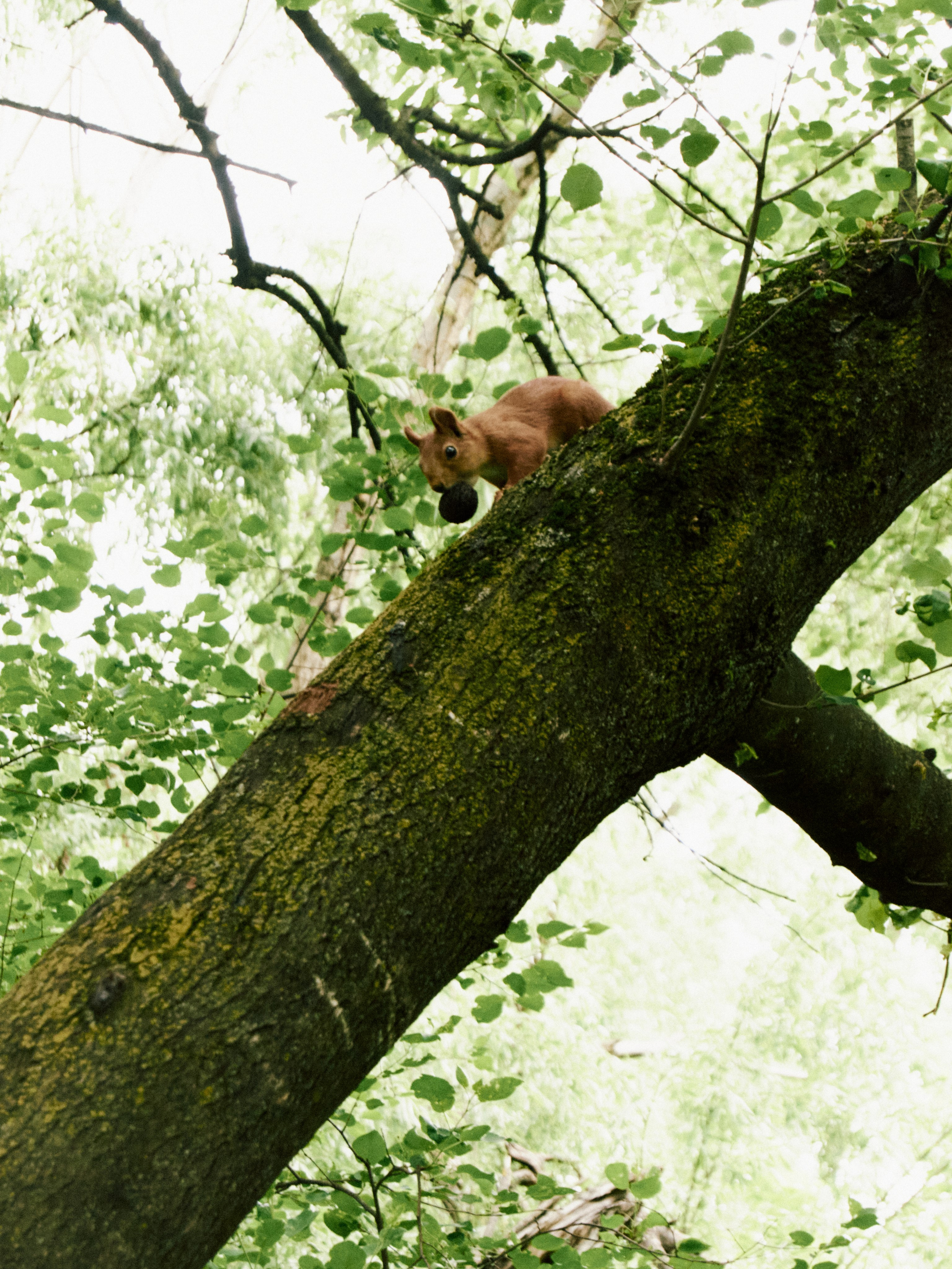 Анна. Портретный фотограф в Краснодаре Виктория Егорина