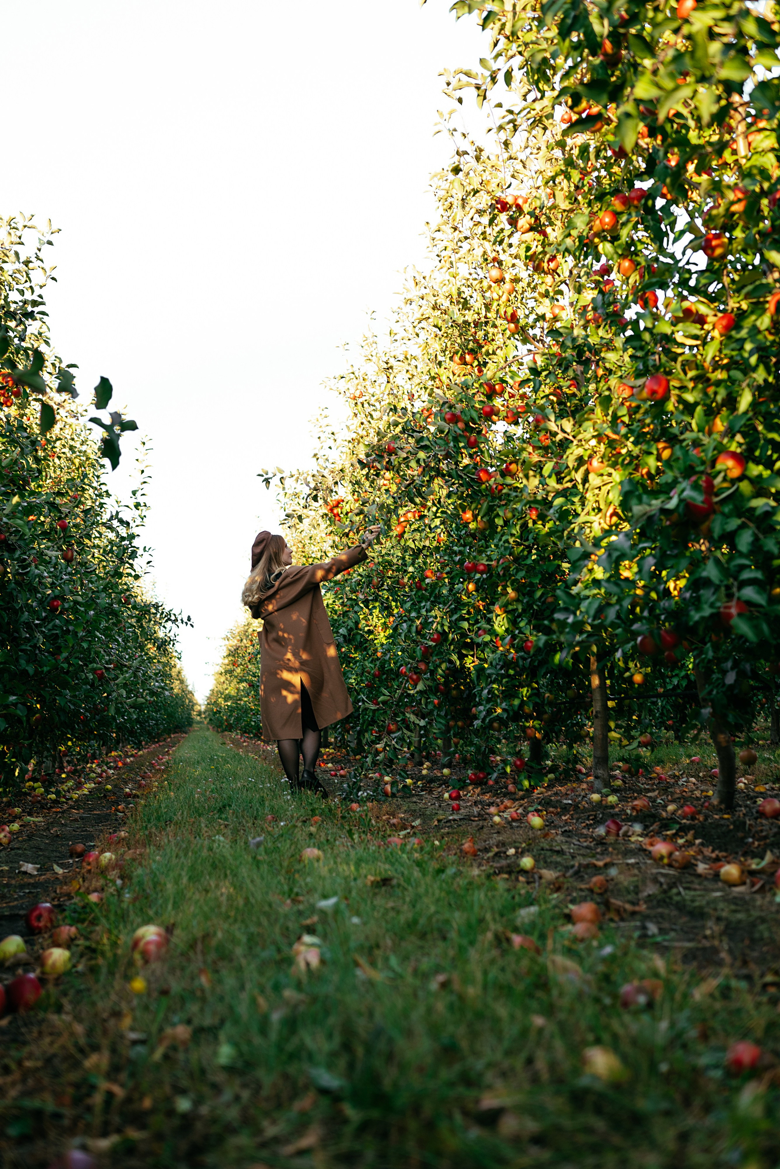 Anastasia & Dima. Семейный и детский фотограф в Белгороде Ольга Сорока