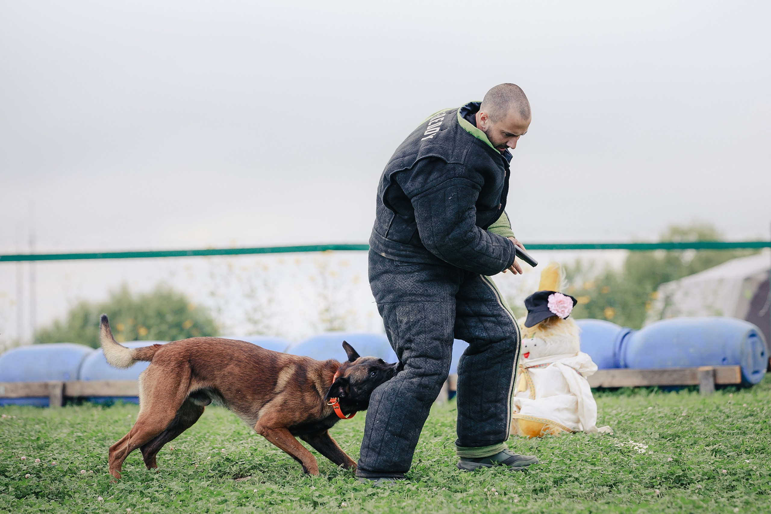 Мондьоринг М1, М2, М3, Вологда. Фотограф-анималист Mary Mart — Москва, Питер