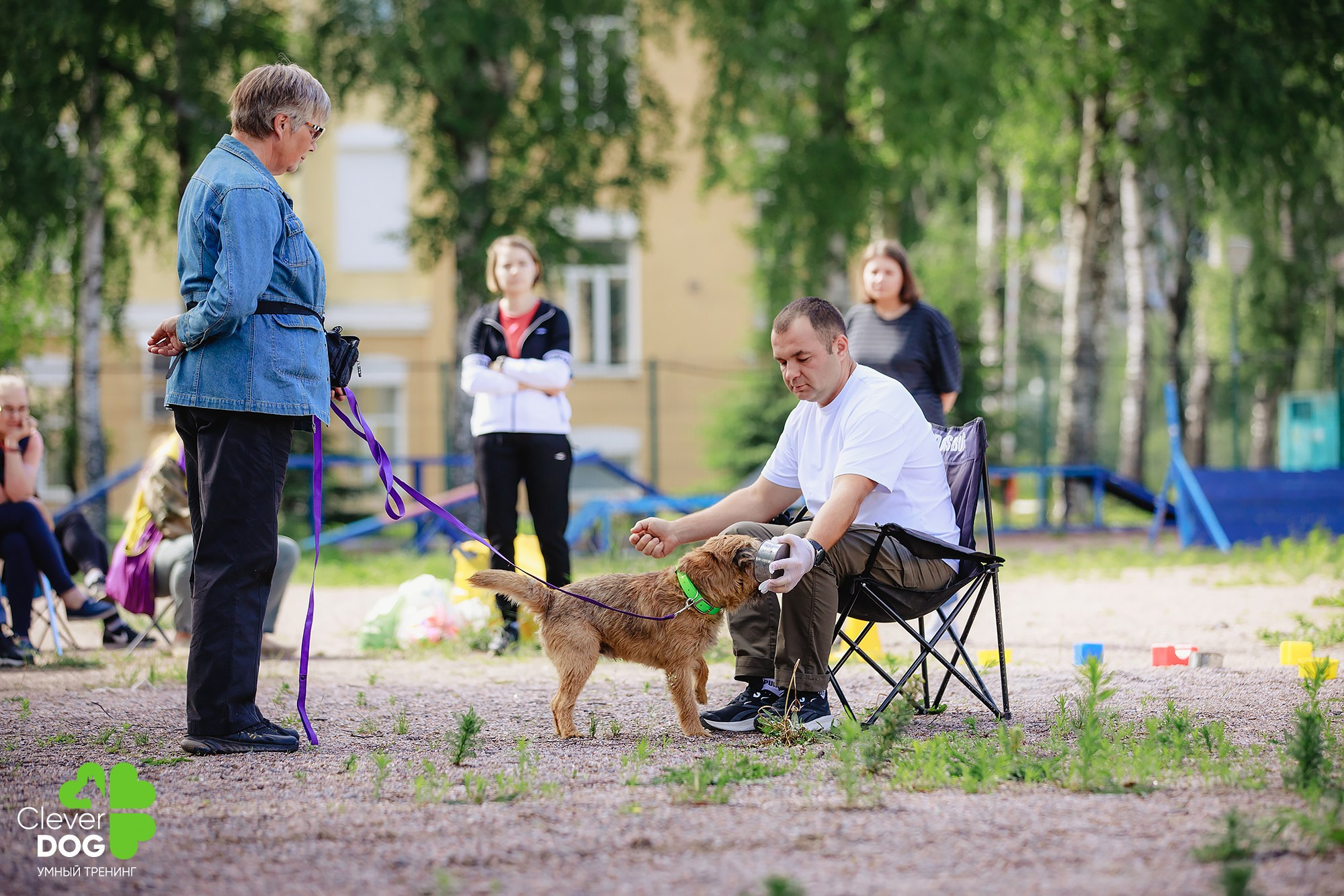 Семинар по поиску запаха с Иваном Ломовым, организатор CleverDog, СПб. Фотограф-анималист Mary Mart — Москва, Питер