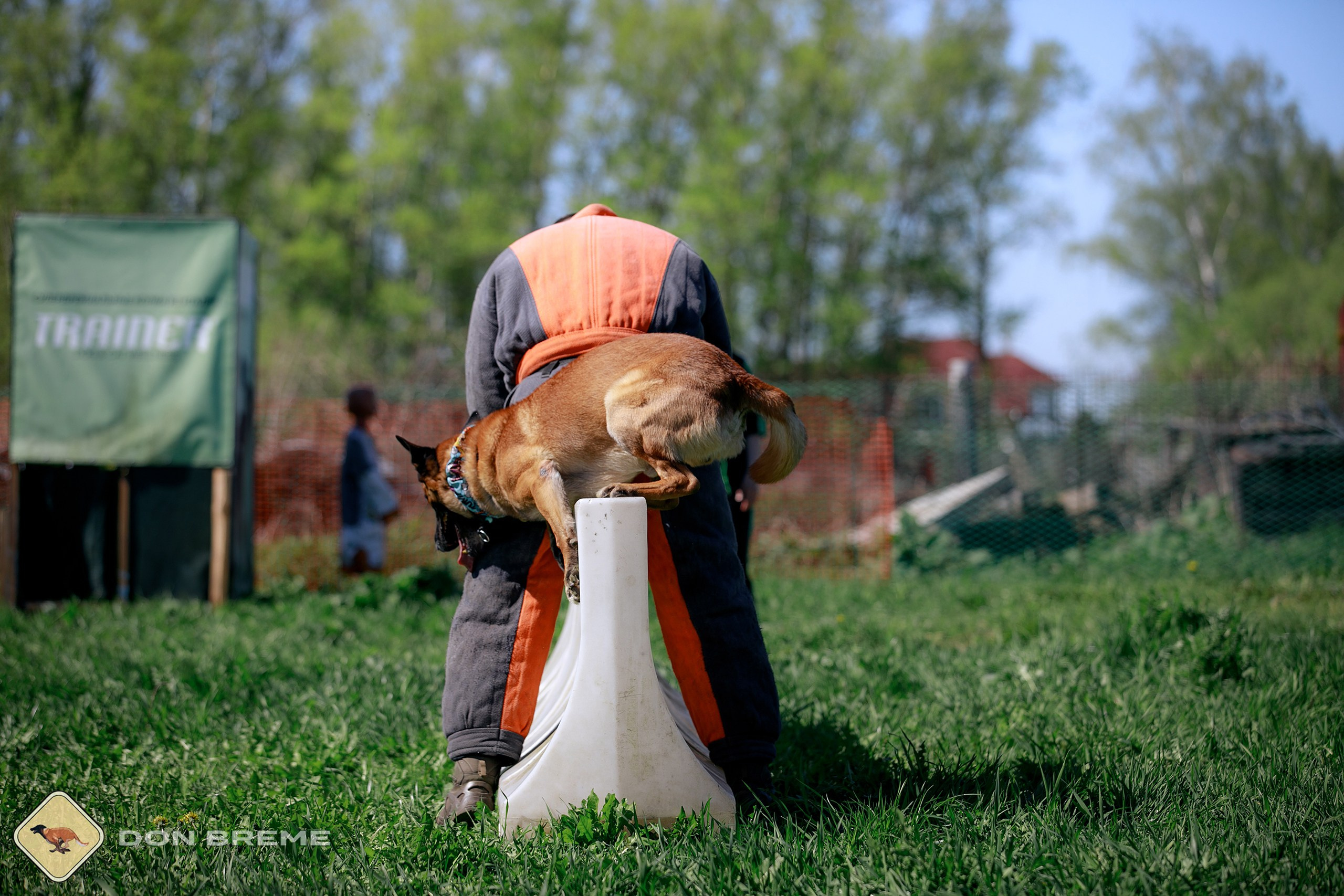 Семинар для фигурантов, день 3. Фотограф-анималист Mary Mart — Москва, Питер