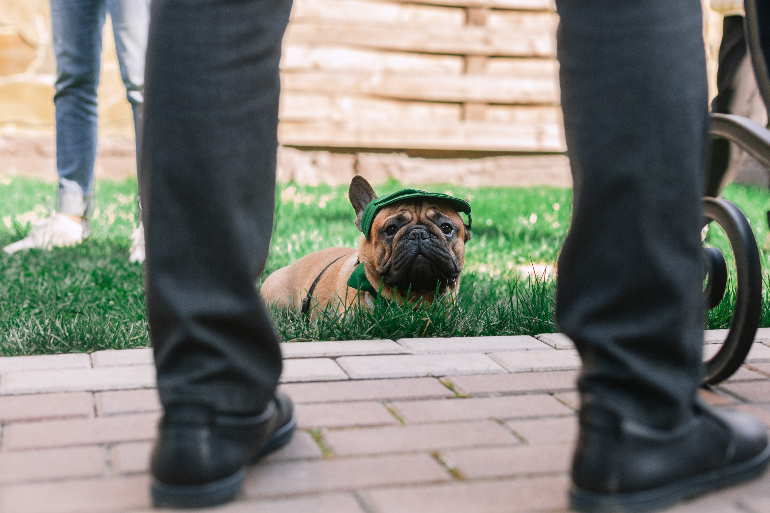 Бульбалл 23.04.2023. Фотограф-анималист Татьяна Степанова