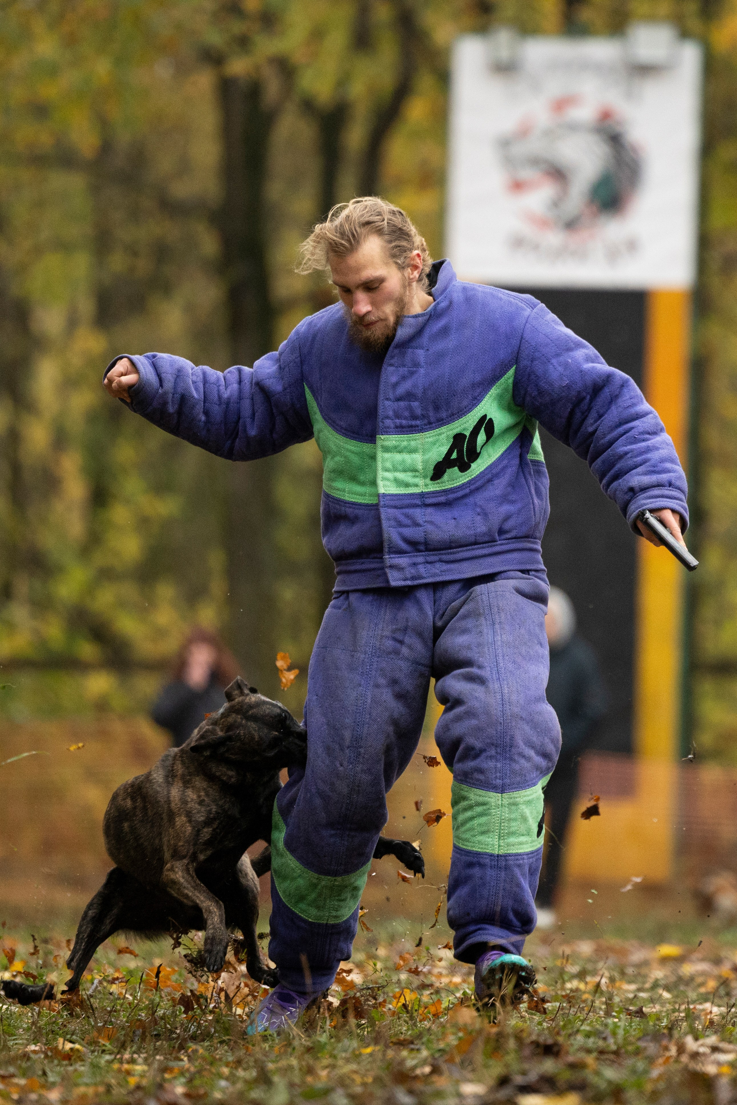 Соревнования по Мондьорингу г. Вологда. Фотограф-анималист Анна Маринич