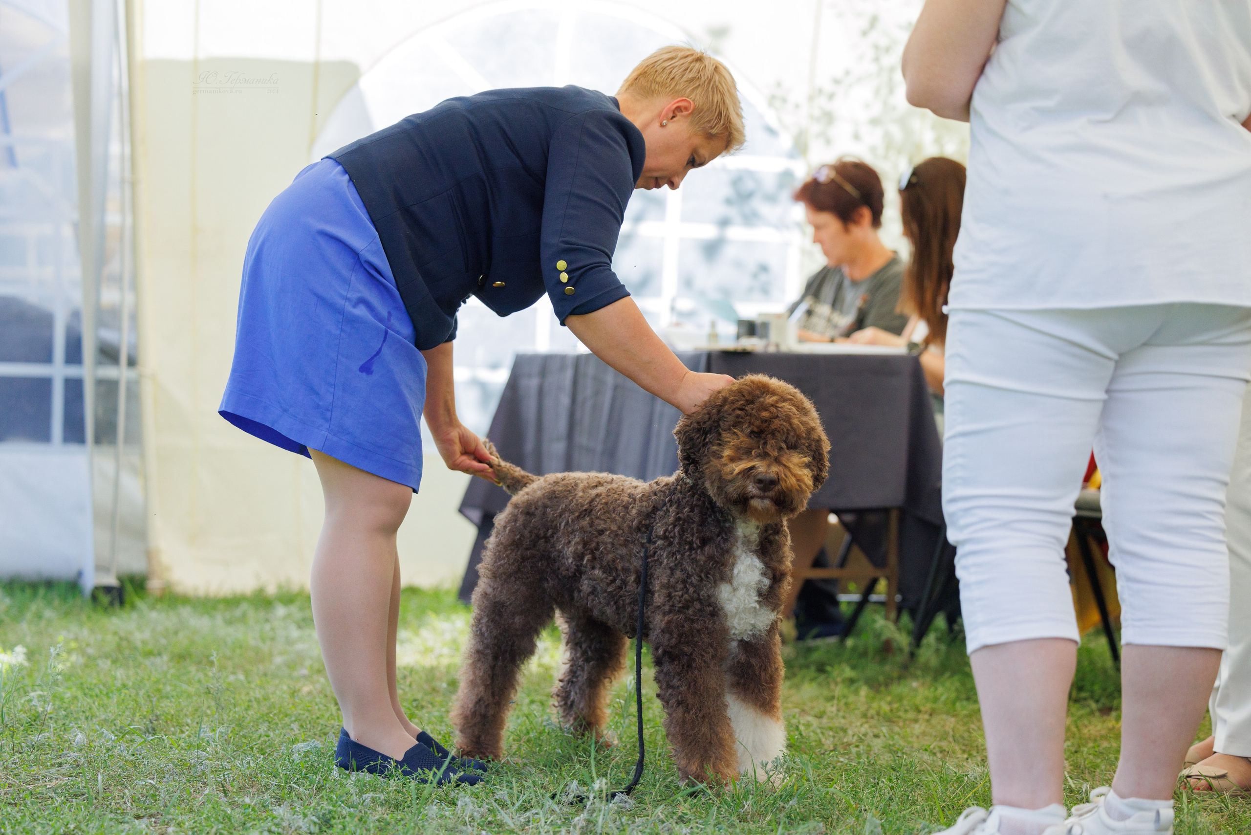 Астана 2хCACIB 17-18.08.2024. Фотограф-анималист Юлия Германика