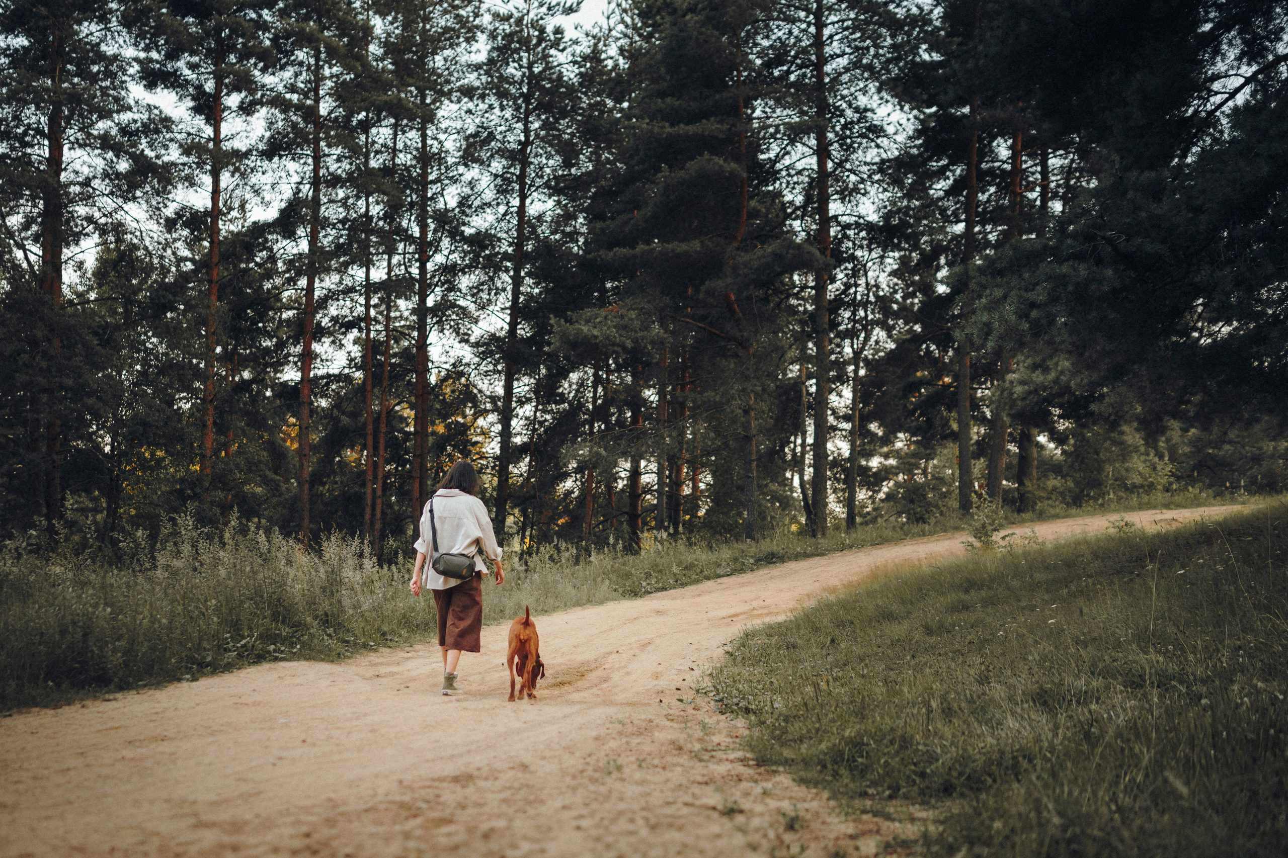 Маша, Трисс и Эста. Семейный фотограф анималист Ананьева Мария — Москва