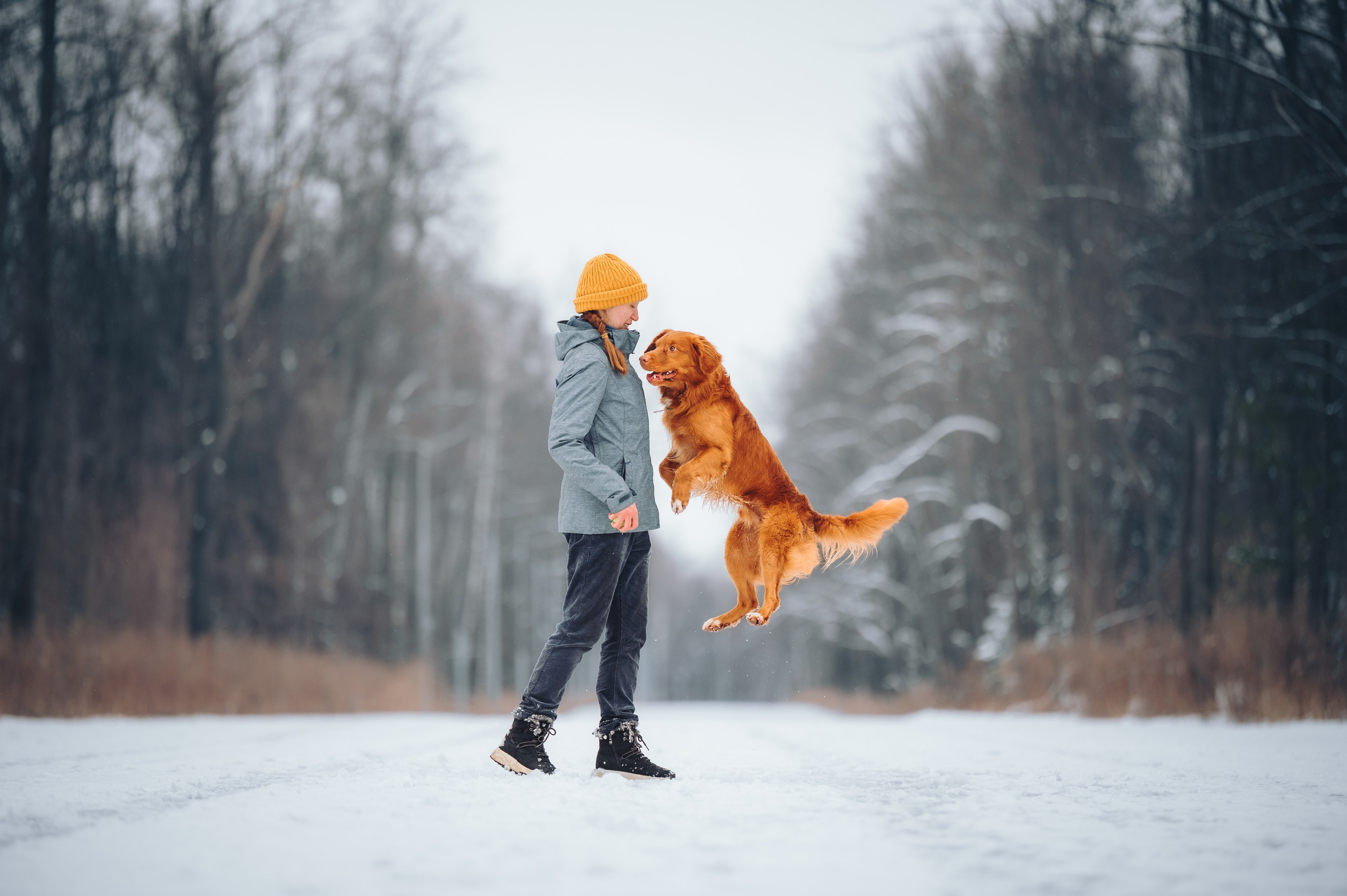 Наташа и Бубел. Семейный фотограф анималист Ананьева Мария — Москва