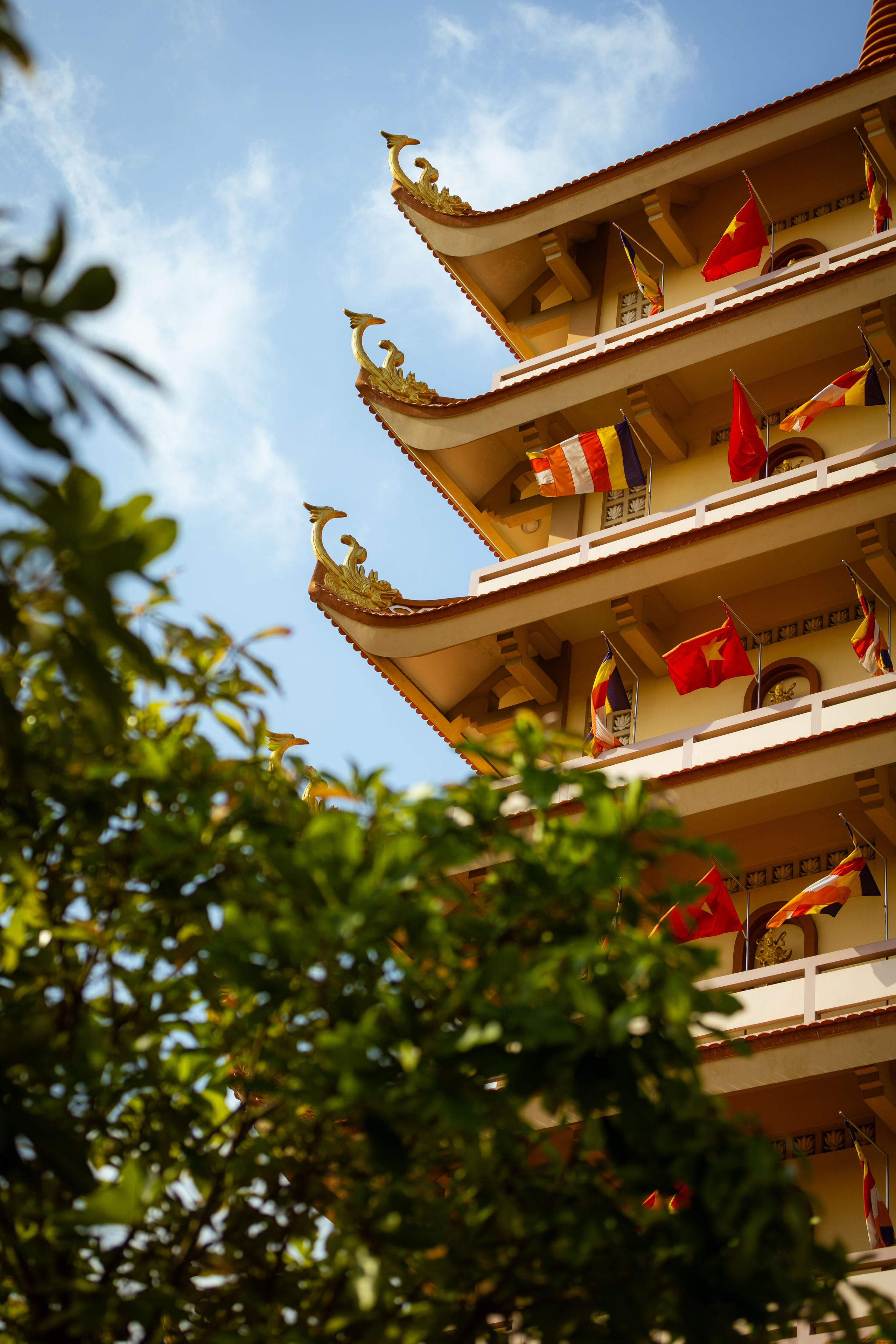 Вьетнам (зима 2025-2026). Фотограф Виноградов Константин