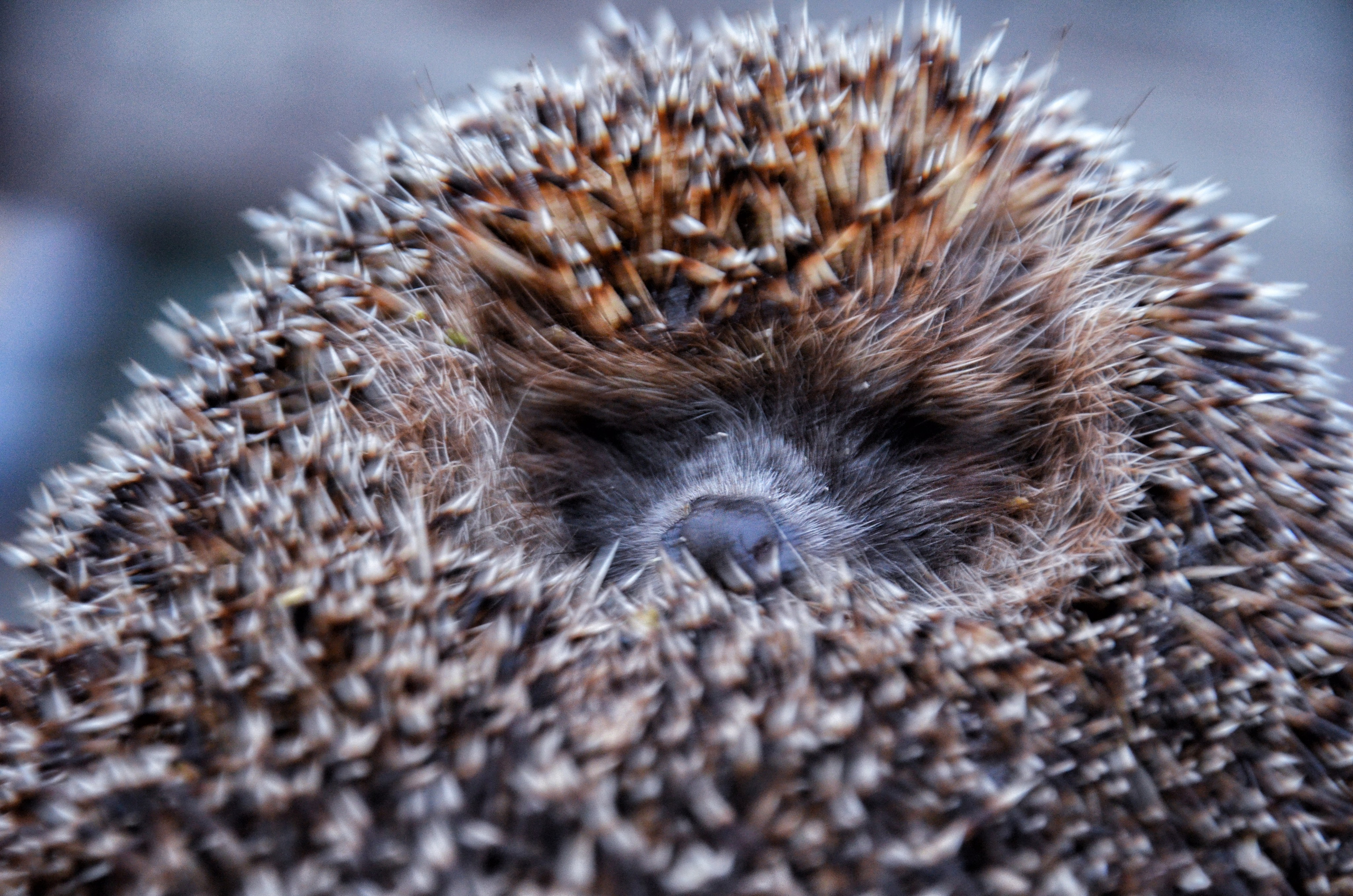 Vibe. Фотограф Милена Яновска