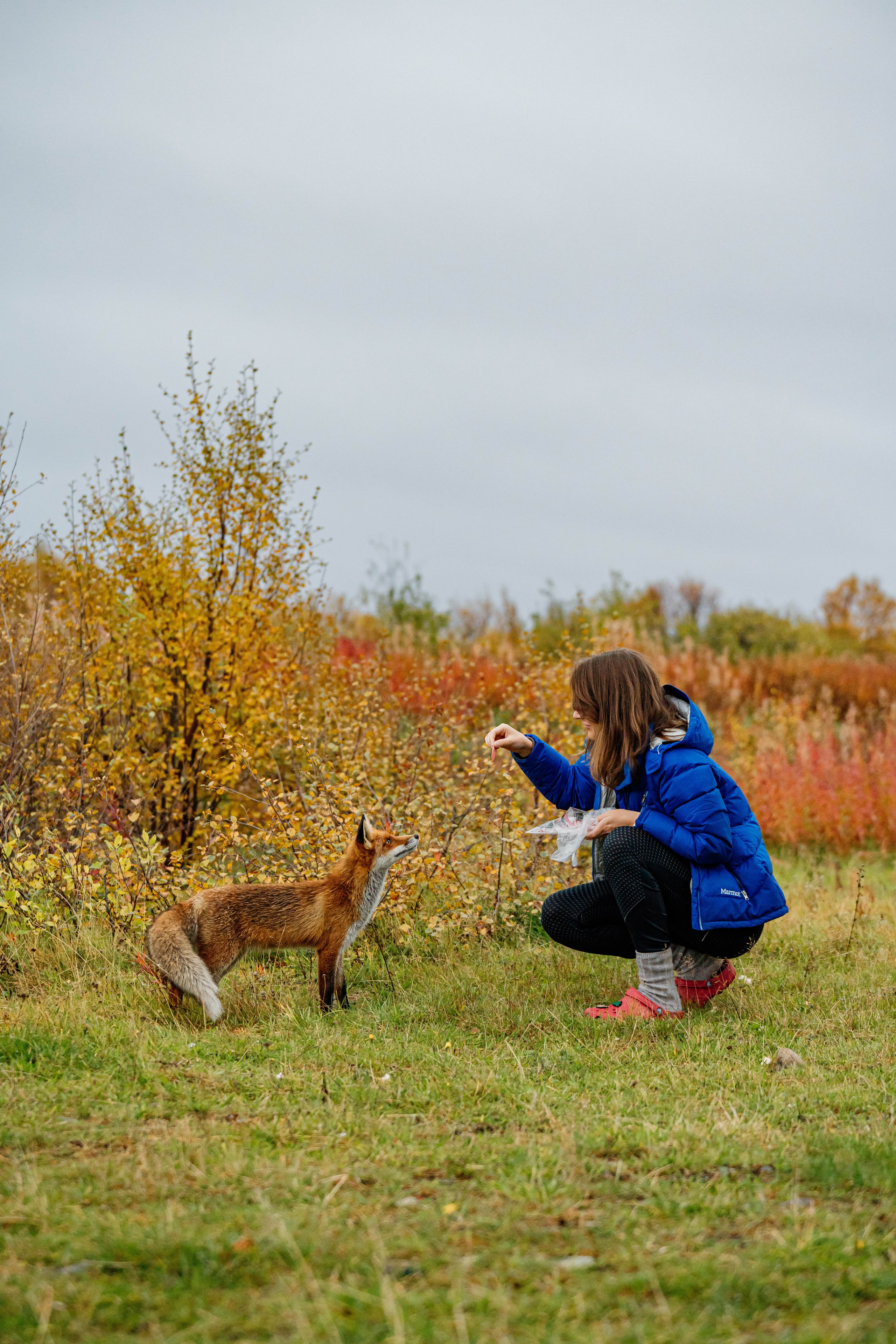 СЕВЕР. Event фотограф Степанова Александра