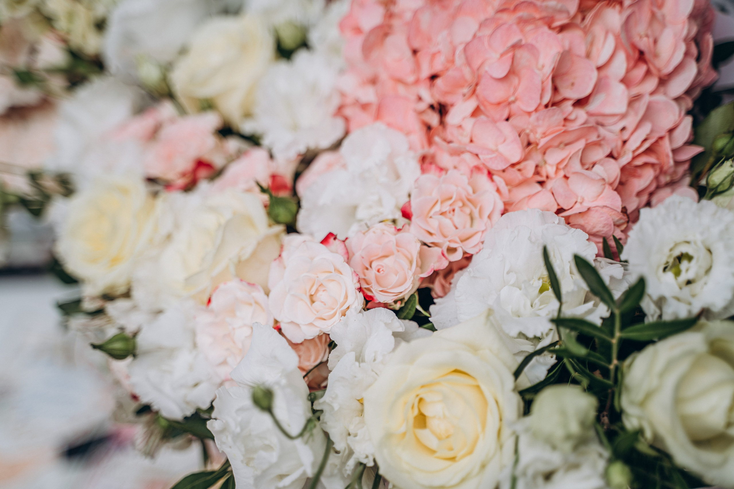 Свадьба Алберт и Дарья. Event фотограф Степанова Александра