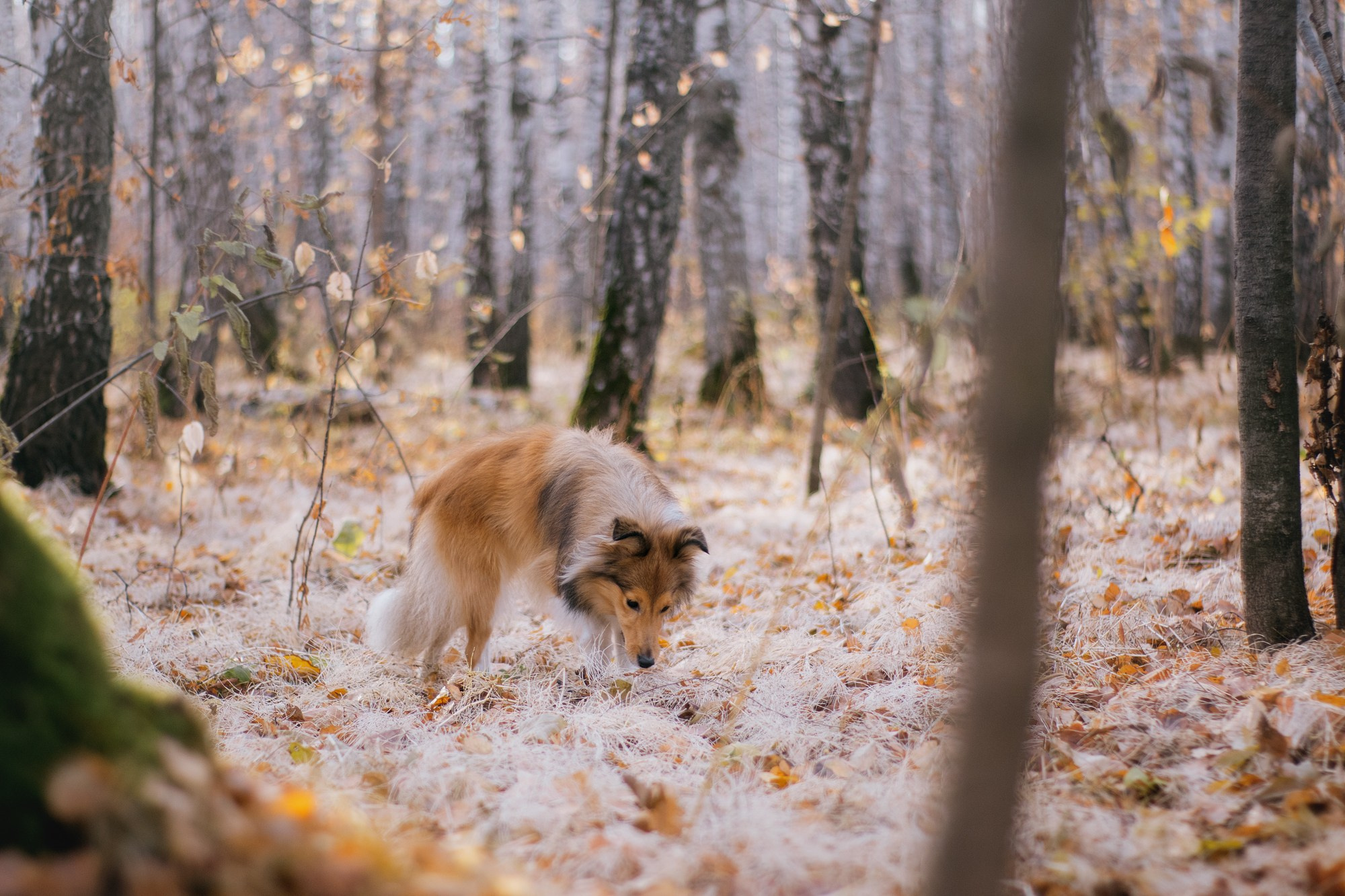 Анна и Габи. Фотограф в Тюмени Лизавета Сапицкая