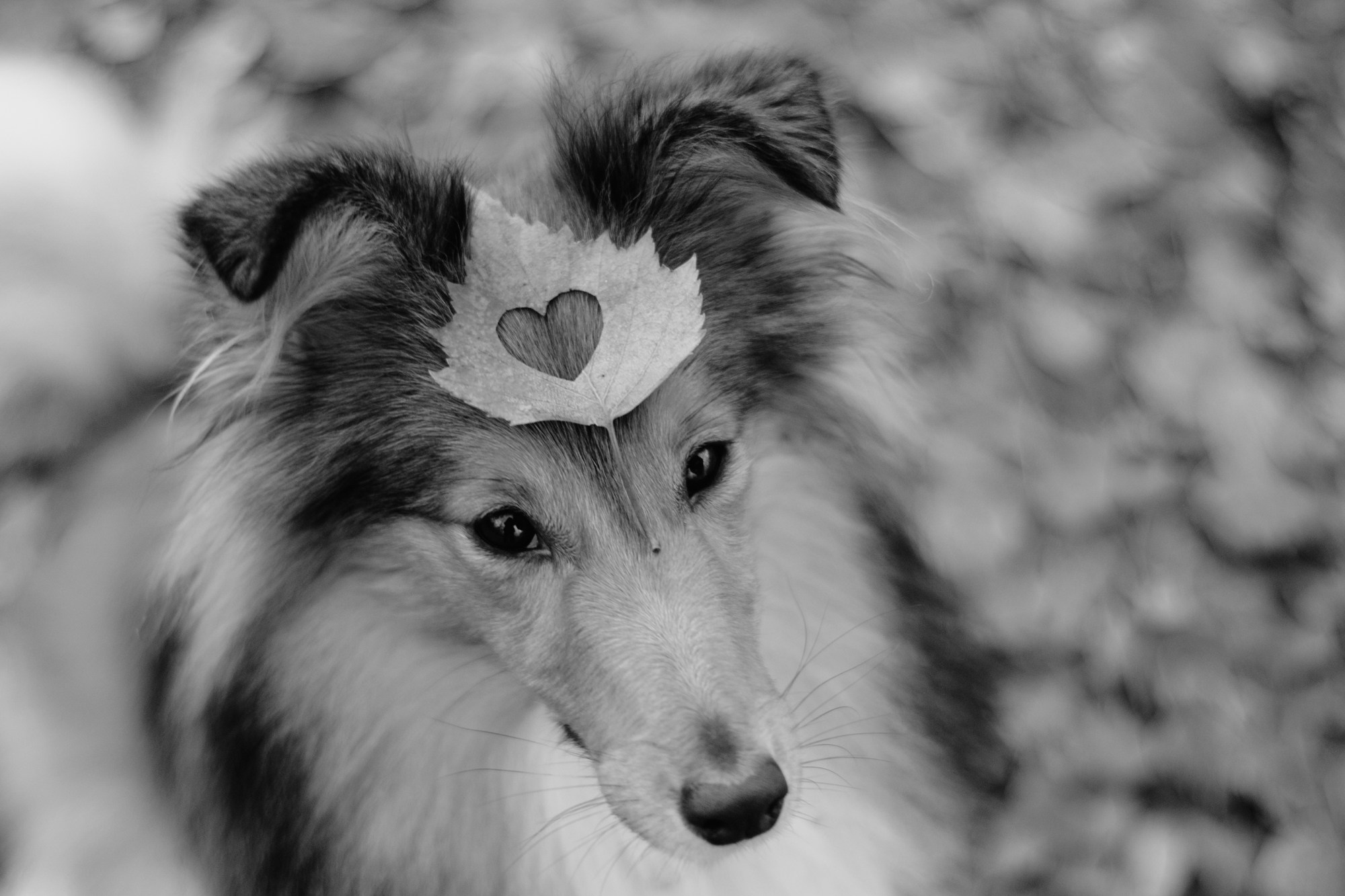 Анна и Габи. Фотограф в Тюмени Лизавета Сапицкая