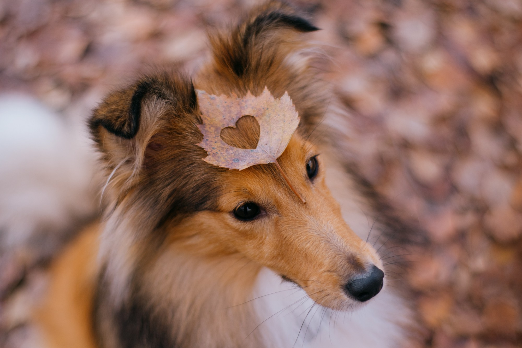 Анна и Габи. Фотограф в Тюмени Лизавета Сапицкая